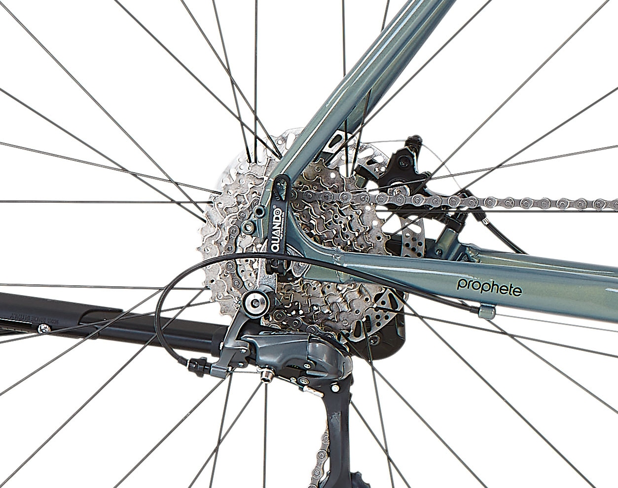Prophete Gravelbike »Graveler«, 16 Gang, Shimano, Claris Schaltwerk, Kettenschaltung