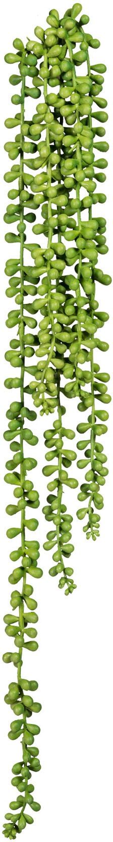 Creativ green Kunstranke »Sedumhänger«, 3er Set