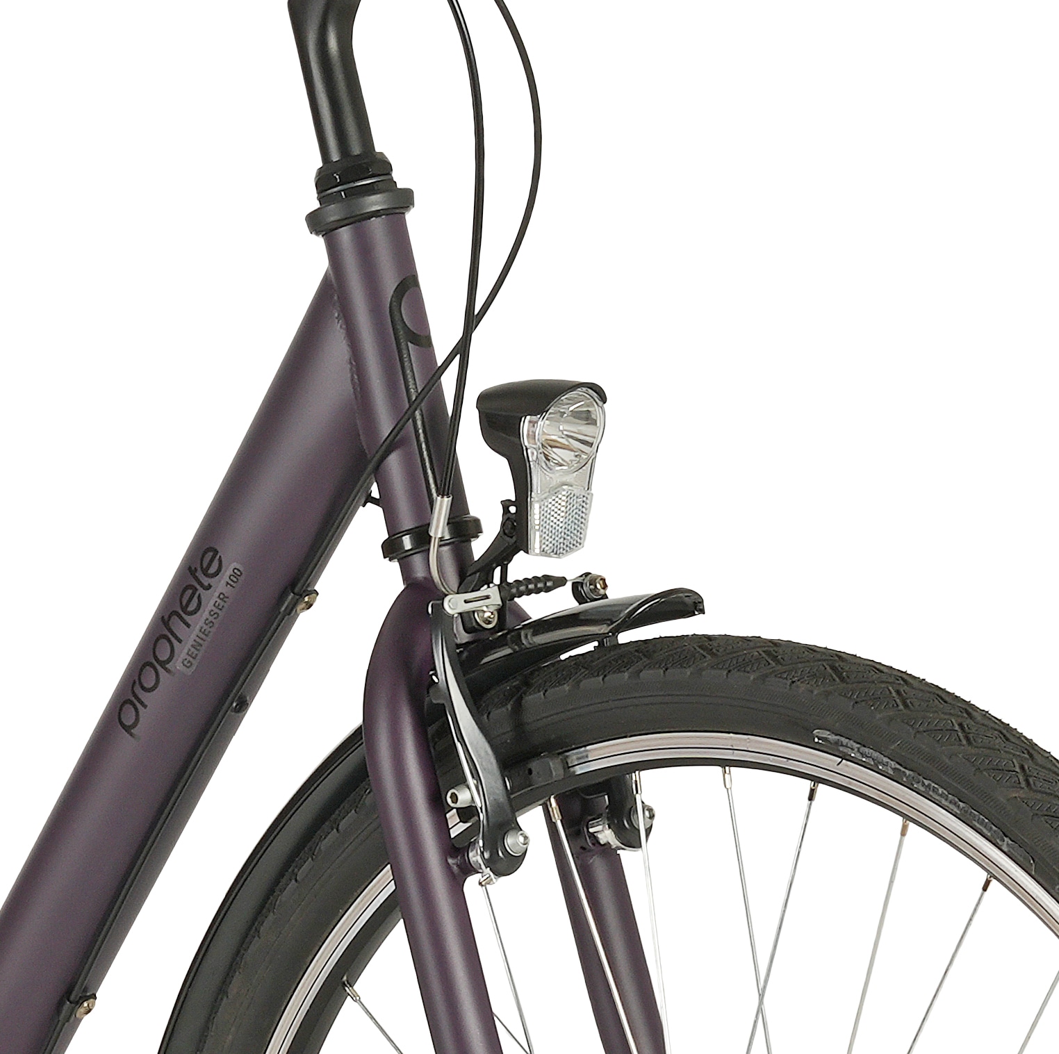 Prophete Cityrad »Prophete Geniesser 100« 3 Gang Shimano Nexus Schaltwerk Nabenschaltung