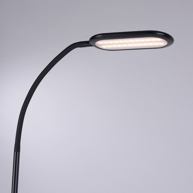 my home LED Stehlampe »Abigal«, 1 flammig-flammig, Farbtemperatursteuerung  CCT 3000-6000 K, dimmbar über Touchdimmer | BAUR