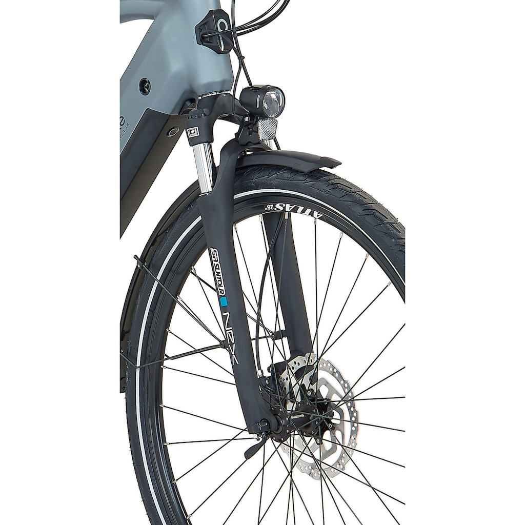 Prophete E-Bike »Prophete E-Bike Entdecker 3.8«, 8 Gang, Shimano, Altus, Mittelmotor 250 W