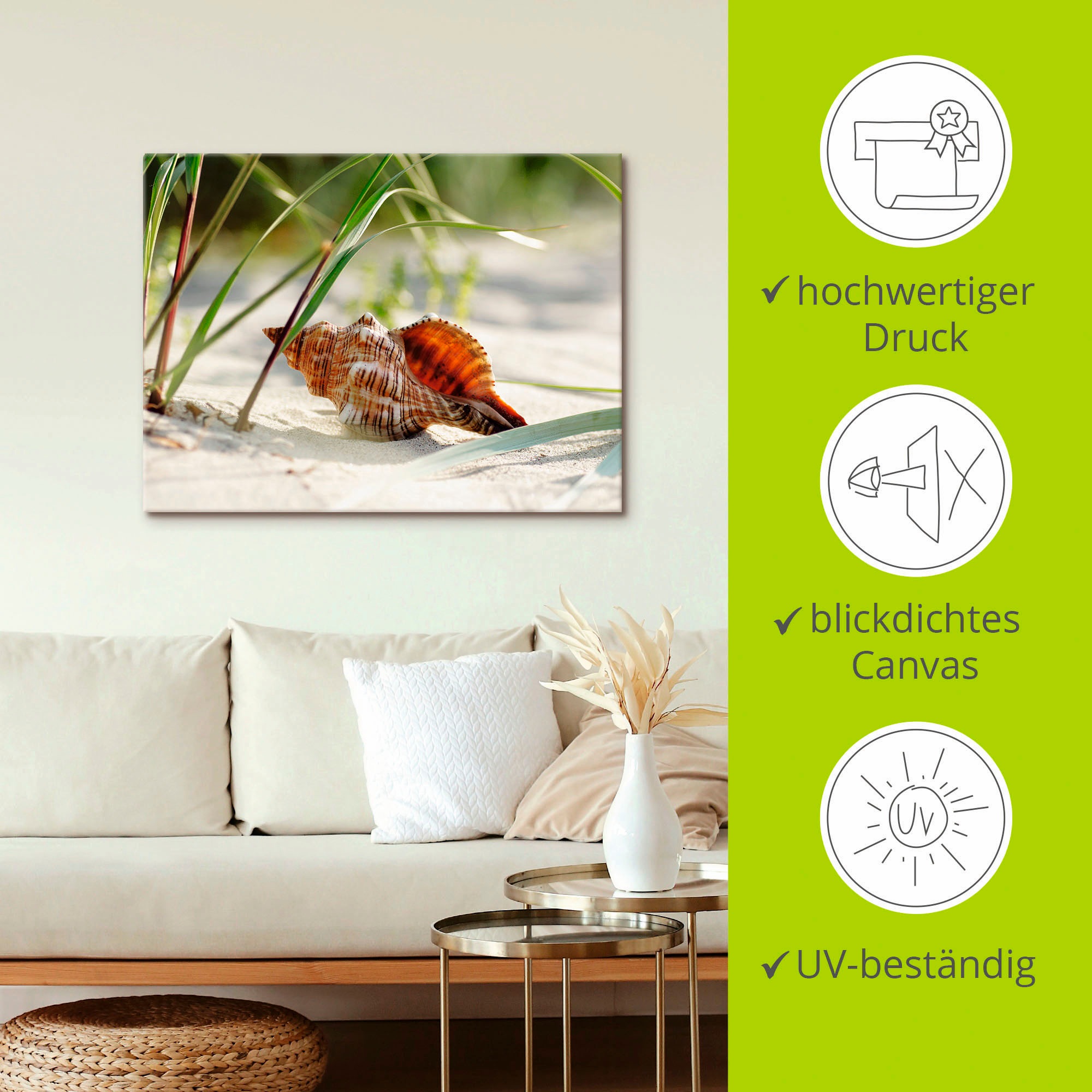 Artland Wandbild »Große Muschel am Strand«, Wassertiere, (1 St.), als Leinwandbild, Poster, Wandaufkleber in verschied. Größen