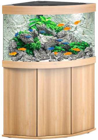 JUWEL AQUARIEN Aquarien-Set »Trigon 190 LED + SBX Tri...