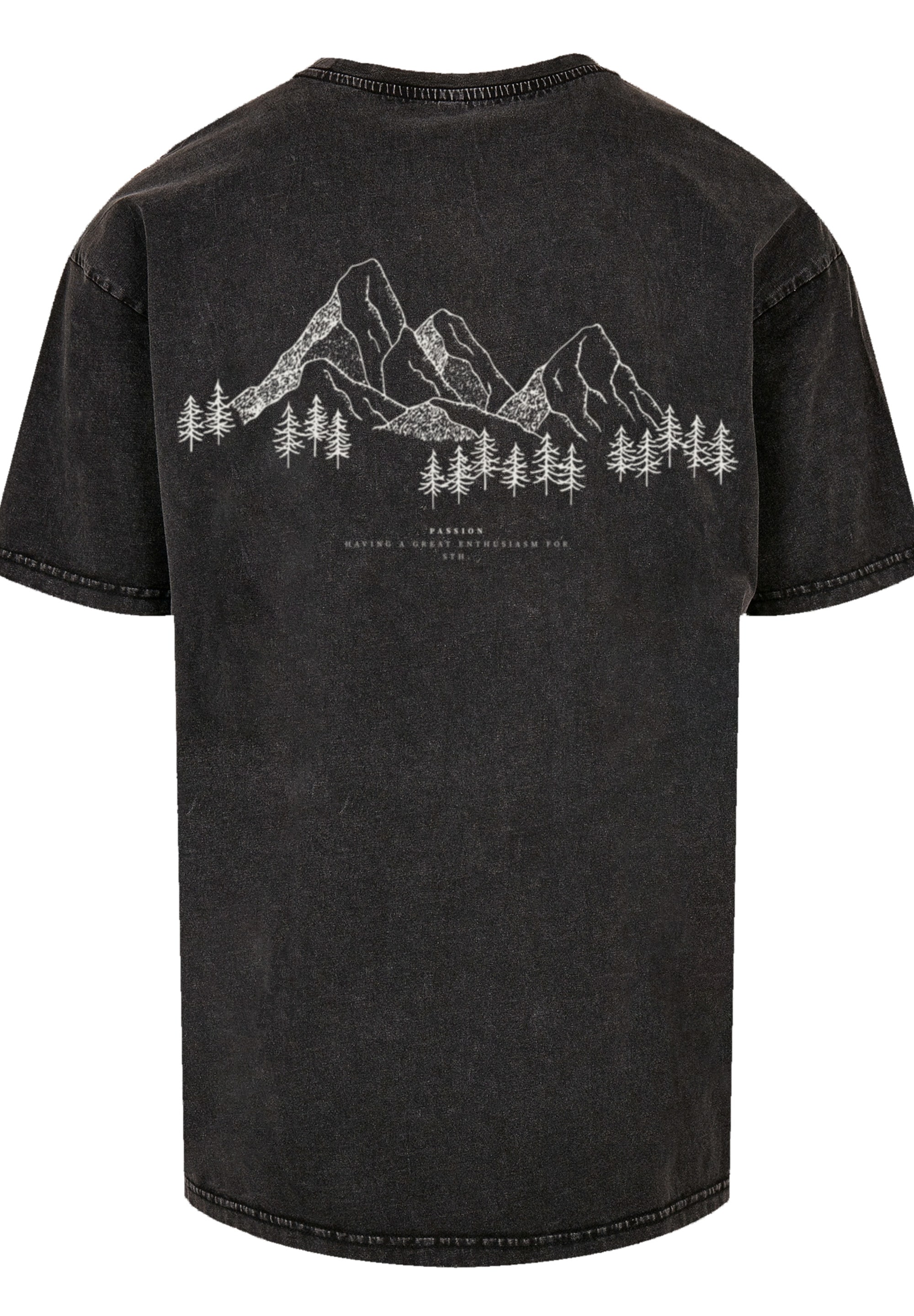 F4NT4STIC T-Shirt »Mountain Berg«, Print
