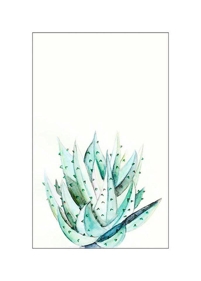 Komar Poster »Aloe Watercolor« Pflanzen-Blät...