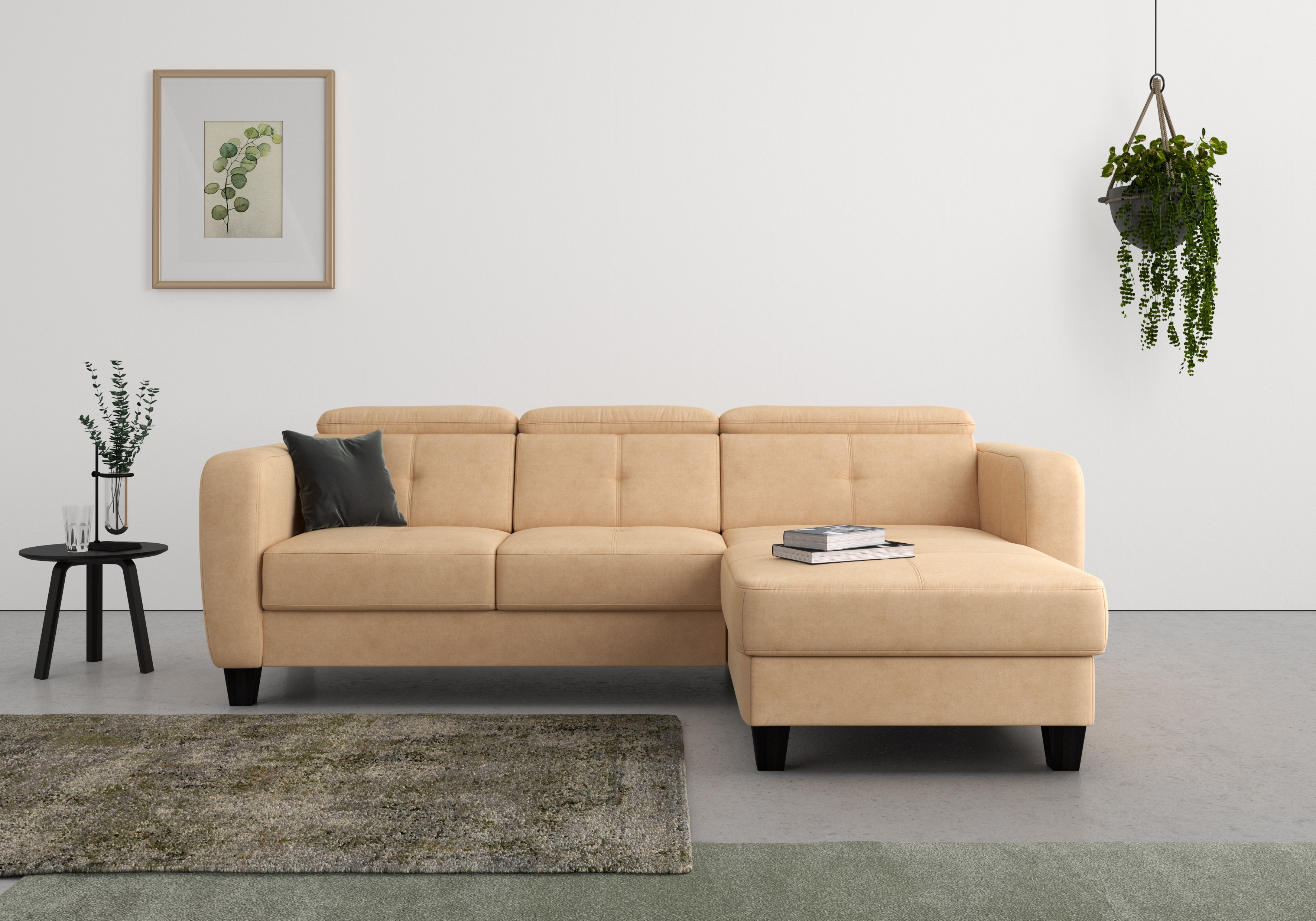 sit&more Ecksofa "Belluci L-Form" inklusive Federkern, wahlweise mit Schlaffunktion und Bettkasten
