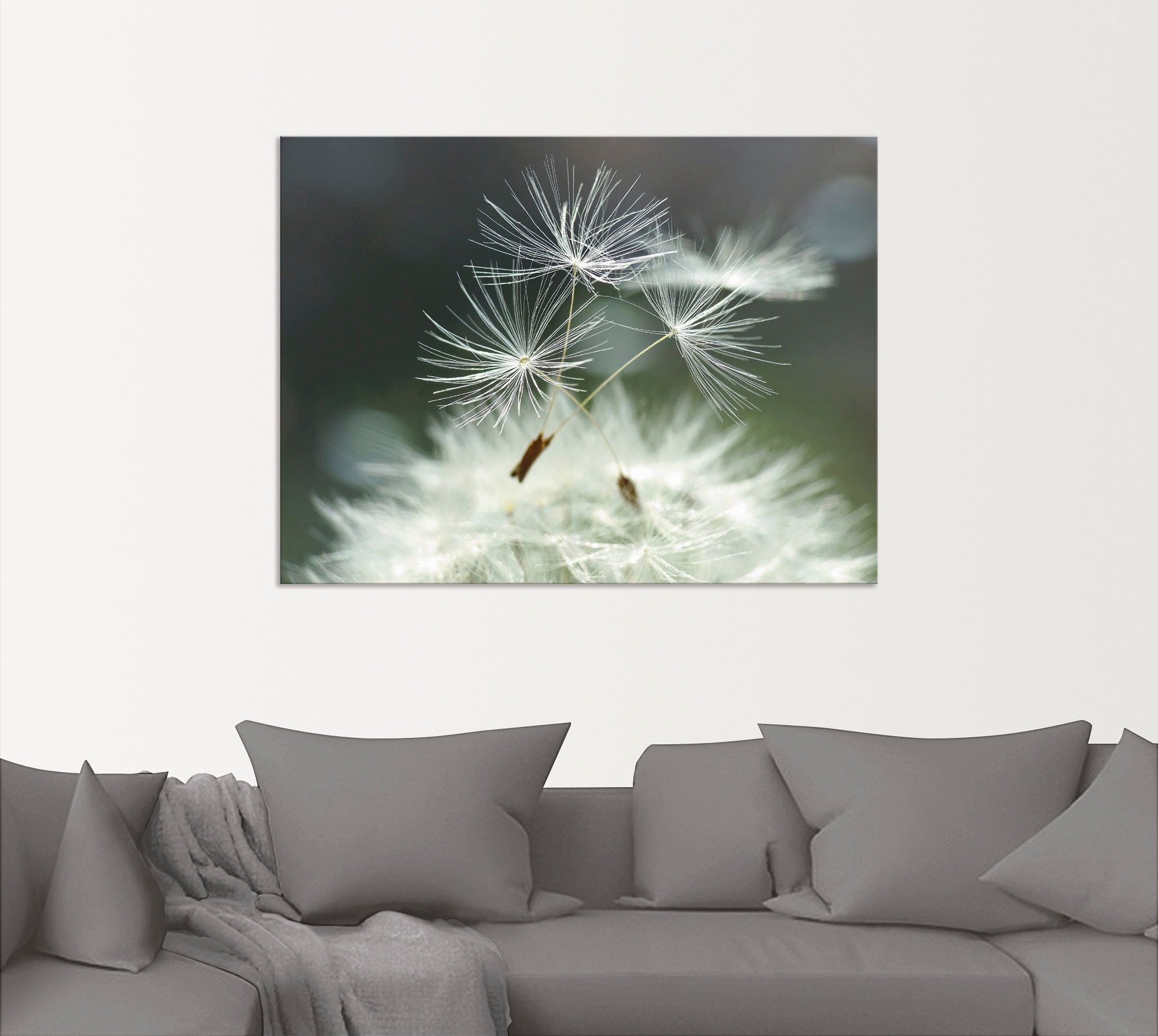Artland Wandbild »Pusteblume Facility«, Blumen, (1 St.), als Alubild, Outdoorbild, Leinwandbild, Poster, Wandaufkleber
