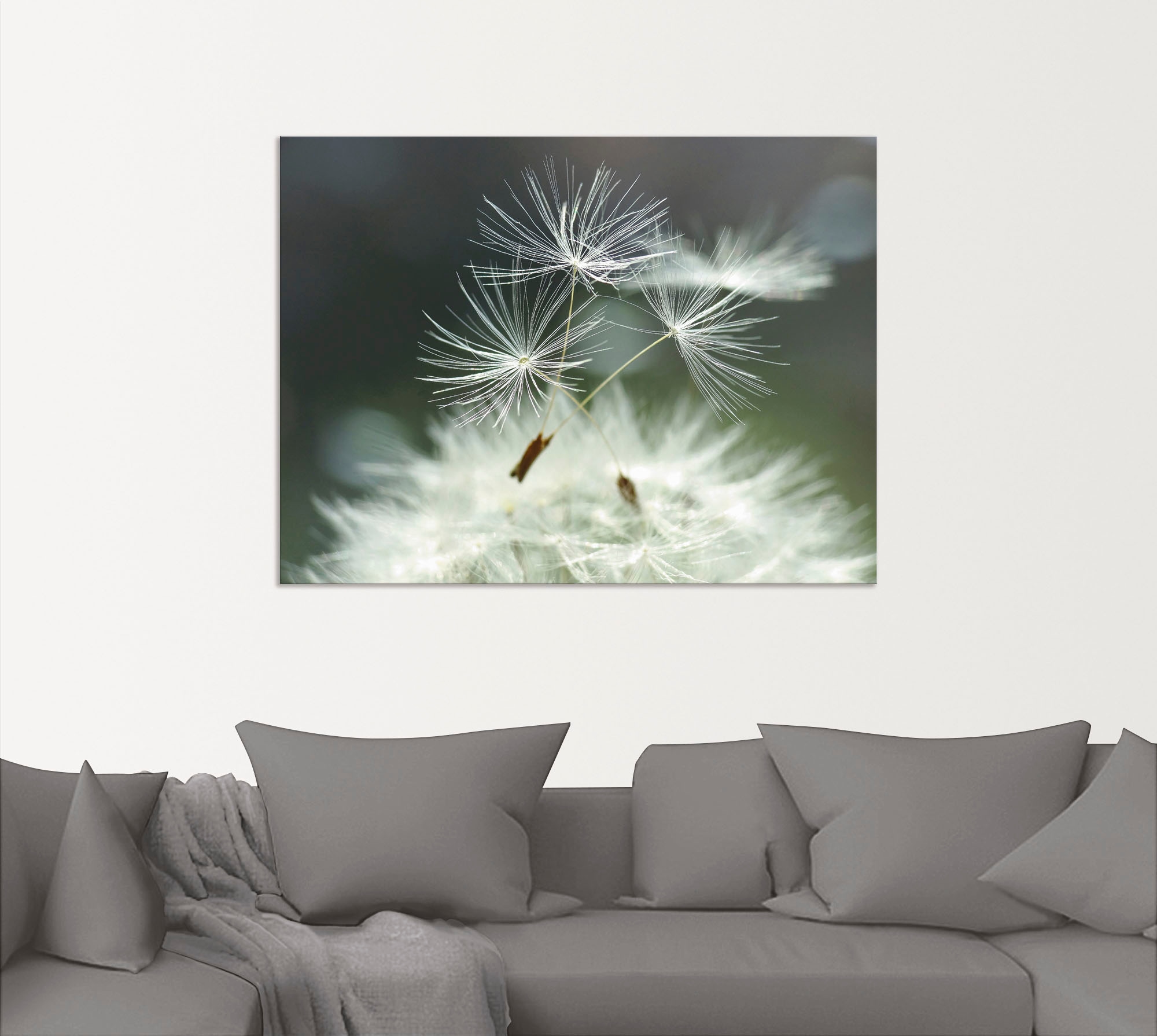 Artland Wandbild "Pusteblume Facility", Blumen, (1 St.), als Alubild, Outdo günstig online kaufen