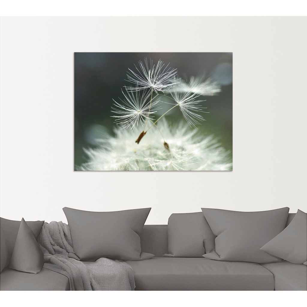 Artland Wandbild »Pusteblume Facility«, Blumen, (1 St.)