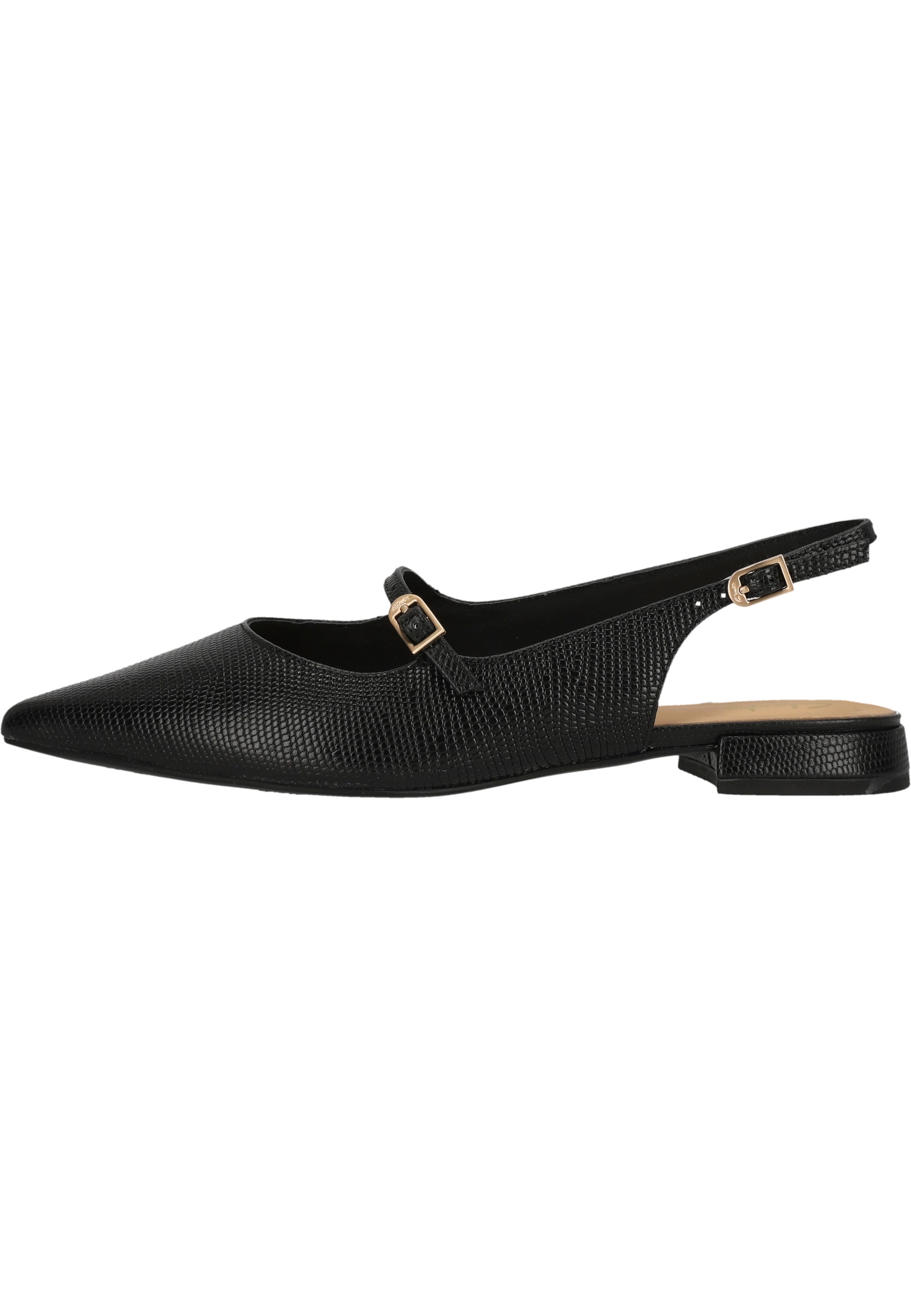 Clarks Pumps "Sensa15 Shine", im luxuriösen und vielseitigen Design günstig online kaufen