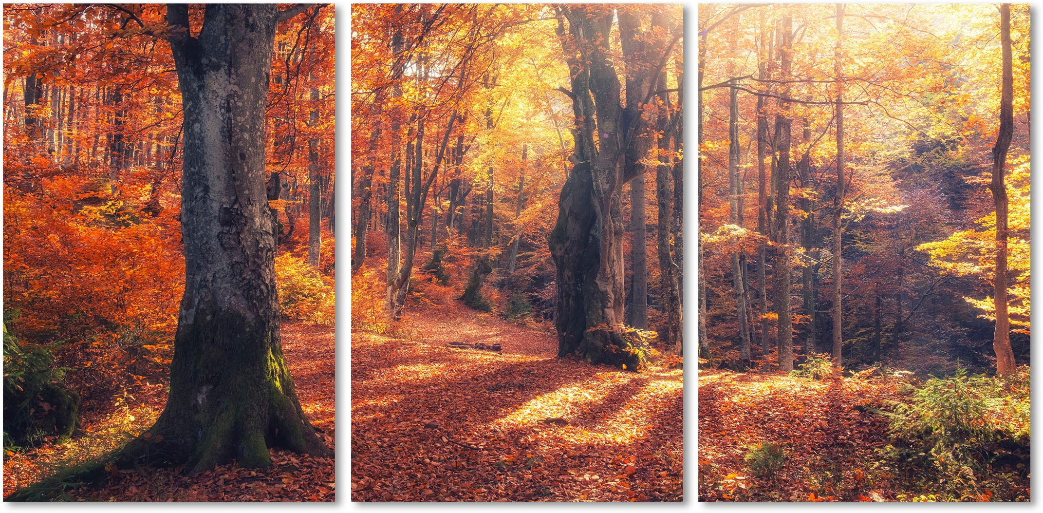 Acrylglasbild »Herbstwald 3-teilig«, Wald, (1 St.)