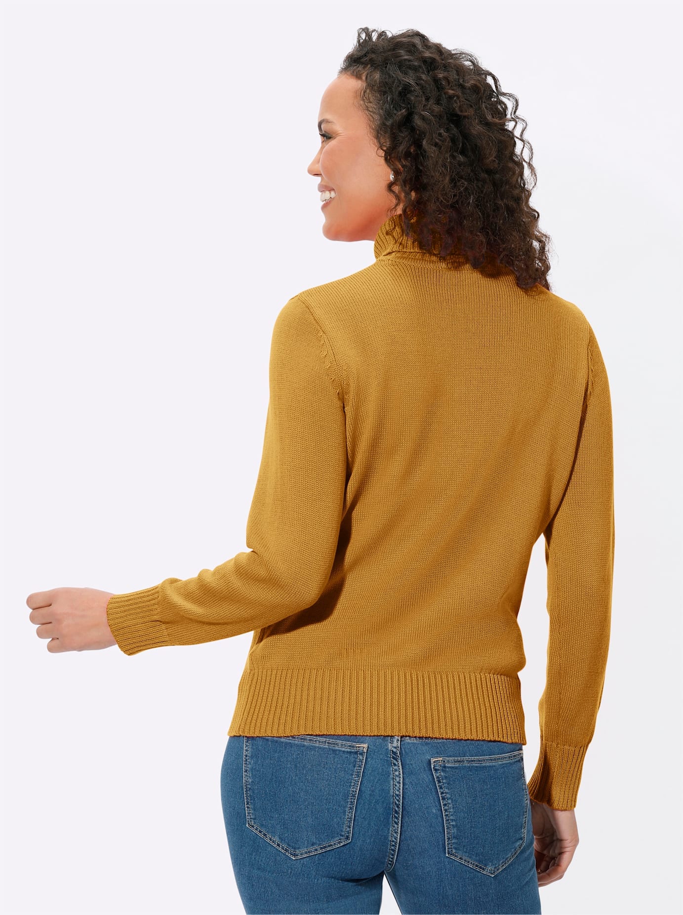 Casual Looks Rollkragenpullover »Pullover«