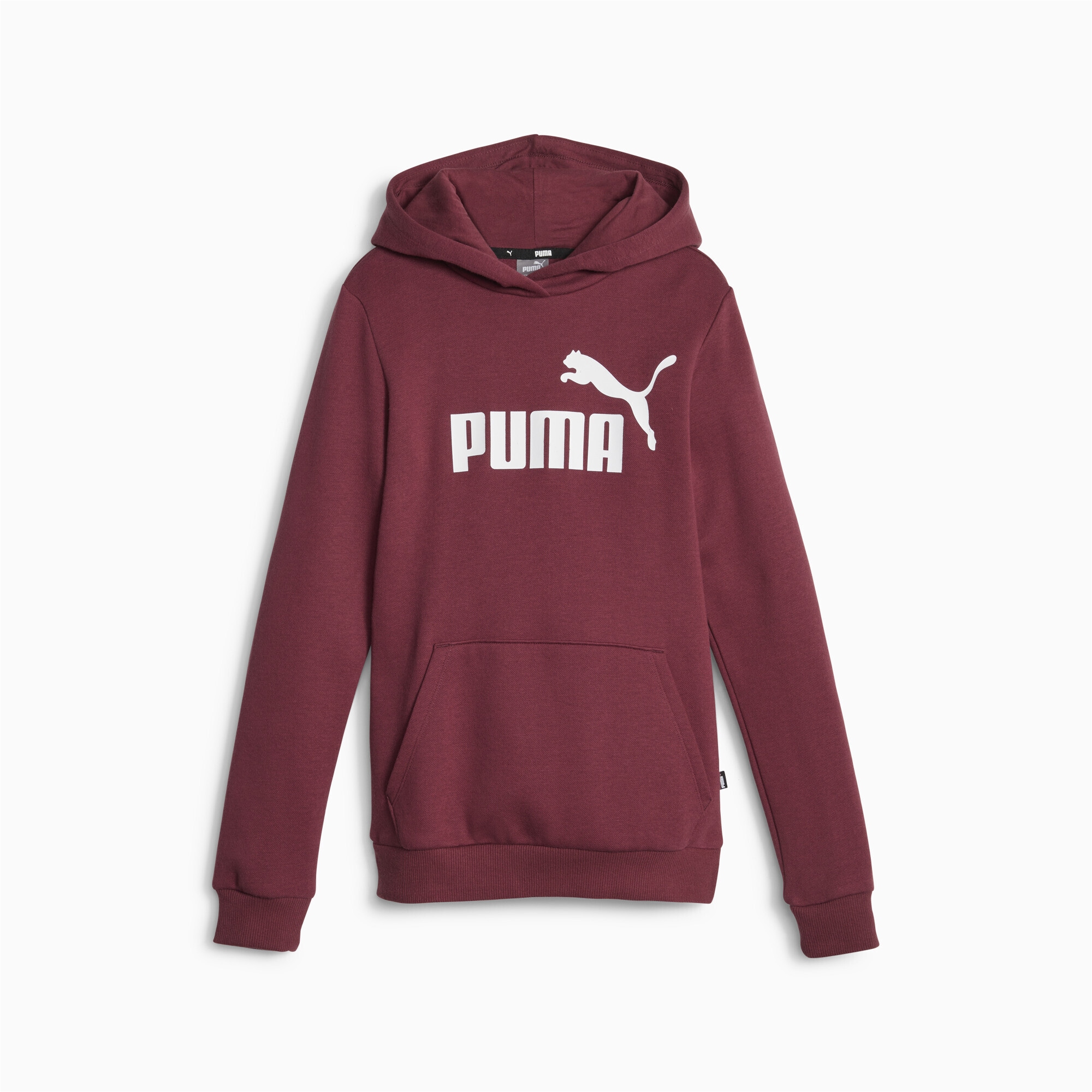PUMA Sweatshirt »Essentials Logo Hoodie Mädchen« | online BAUR bestellen