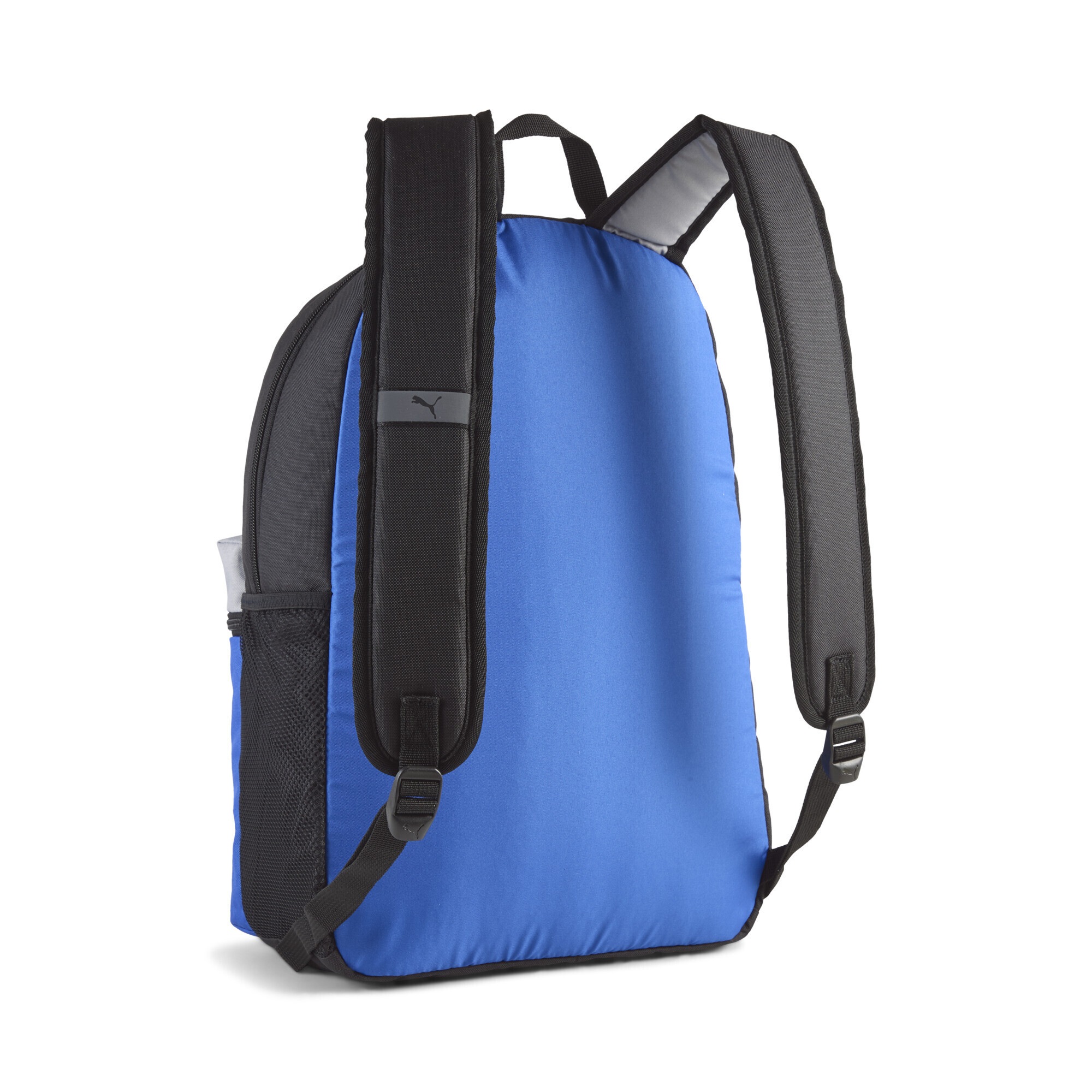 PUMA Freizeitrucksack »PUMA Phase Rucksack mit Colour-Blocking Erwachsene«