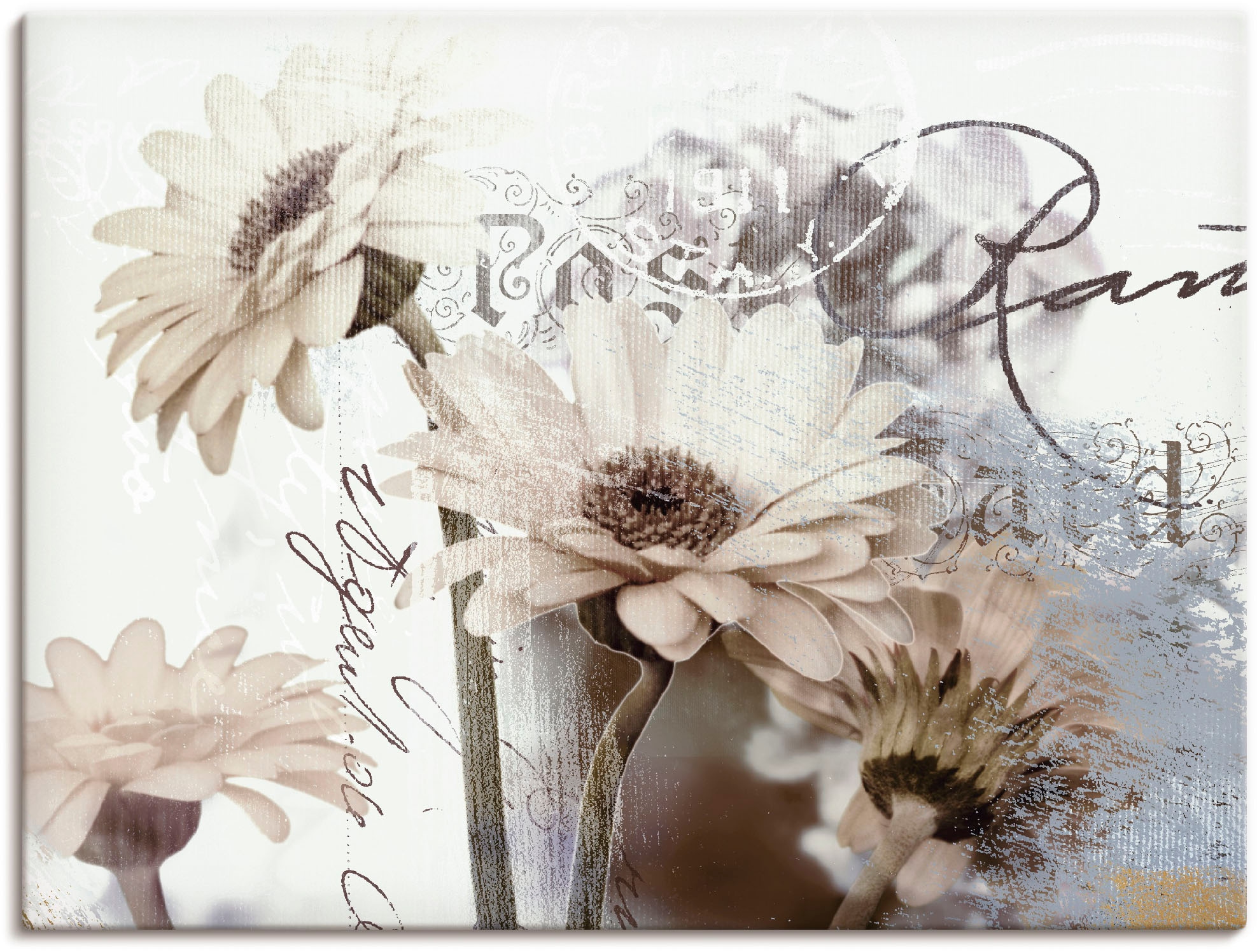 Artland Wandbild "Gerberas Detail" Blumenbilder 1 Stk. tlg. als Leinwandbil günstig online kaufen