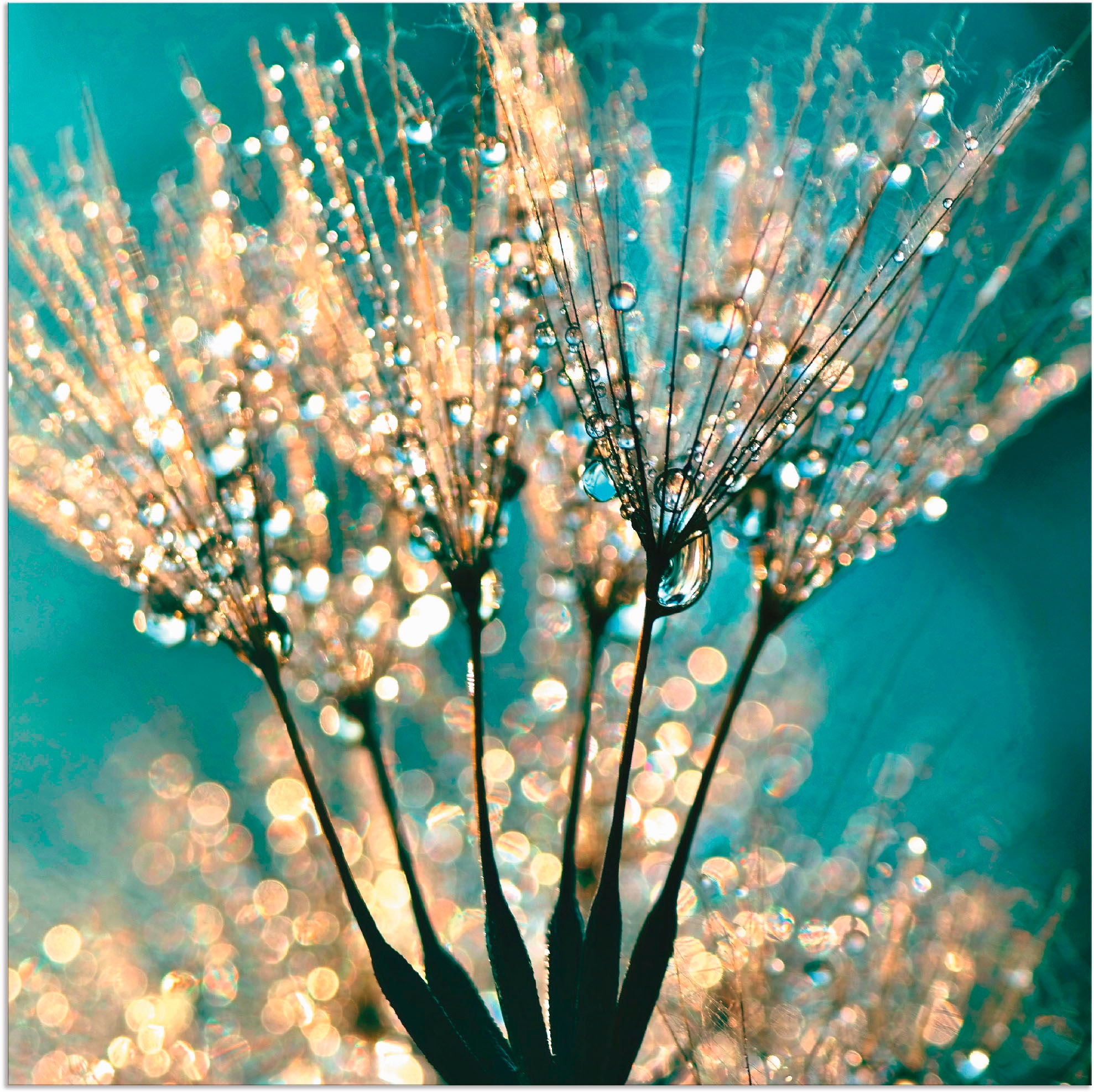 Artland Wandbild »Pusteblume Schirmchen abstrakt«, Blumen, (1 St.), als Alubild, Outdoorbild, Leinwandbild, Poster, Wandaufkleber
