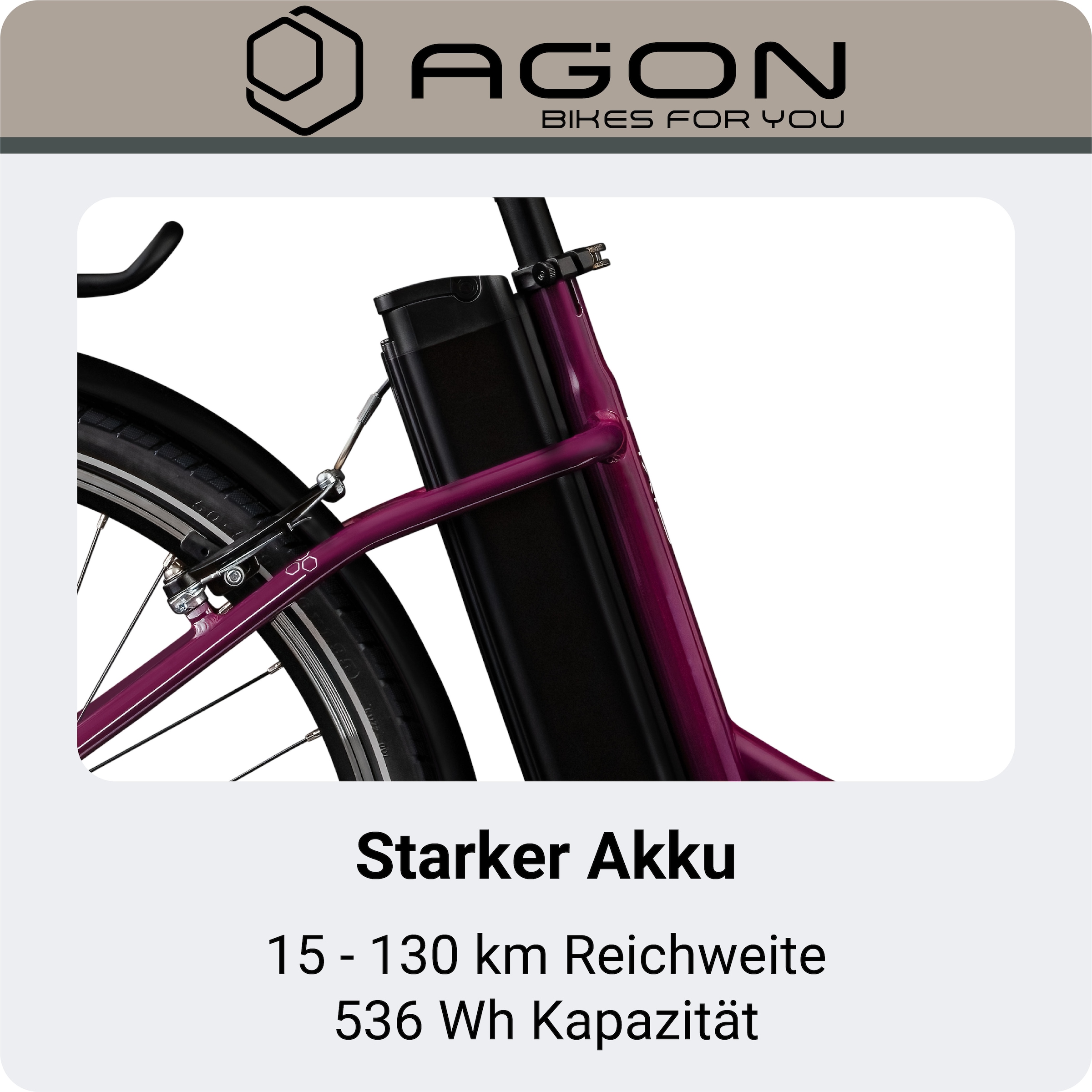 AGON »Axis« 3 Gang Nabenschaltung Frontmotor 250 W Pedelec, Elektrofahrrad für Damen u. Herren