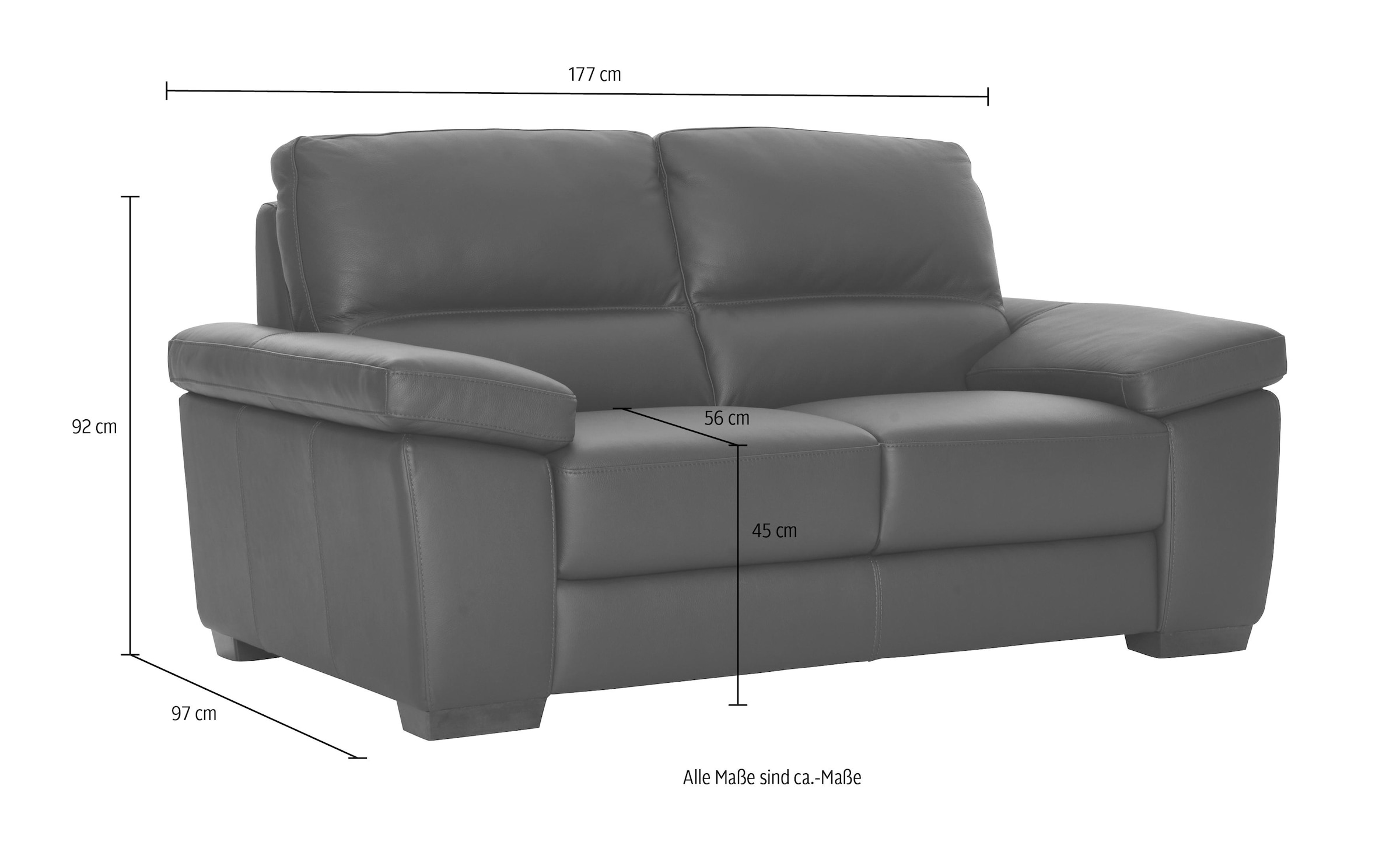 CALIA ITALIA 2-Sitzer »Gaia, hochwertiges Ledersofa mit erstklassigem Sitzkomfort«, edles Design, in zwei hochwertigen Lederqualitäten