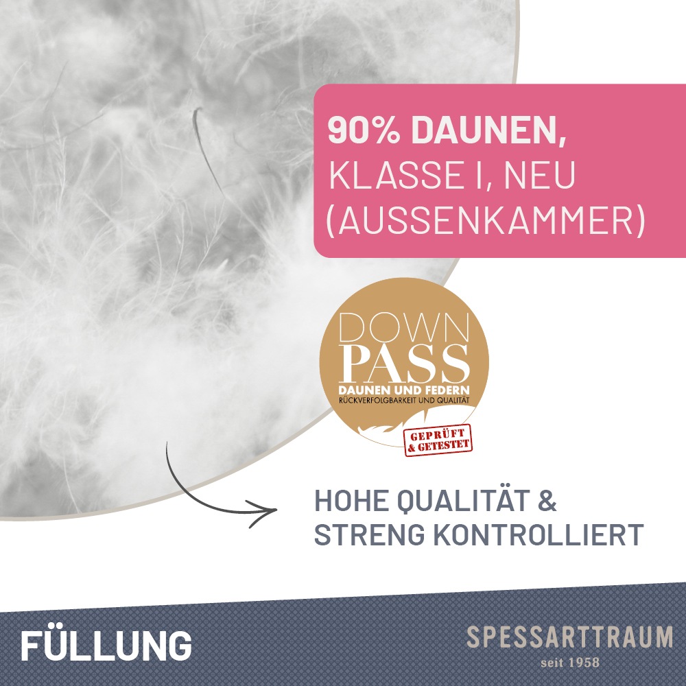 Thumbnail - SPESSARTTRAUM 3-Kammer-Kopfkissen "Exklusiv", Füllung: 90% Daunen / 10% Federn (Außenkammern) und 100% Federn (Innenkamm...