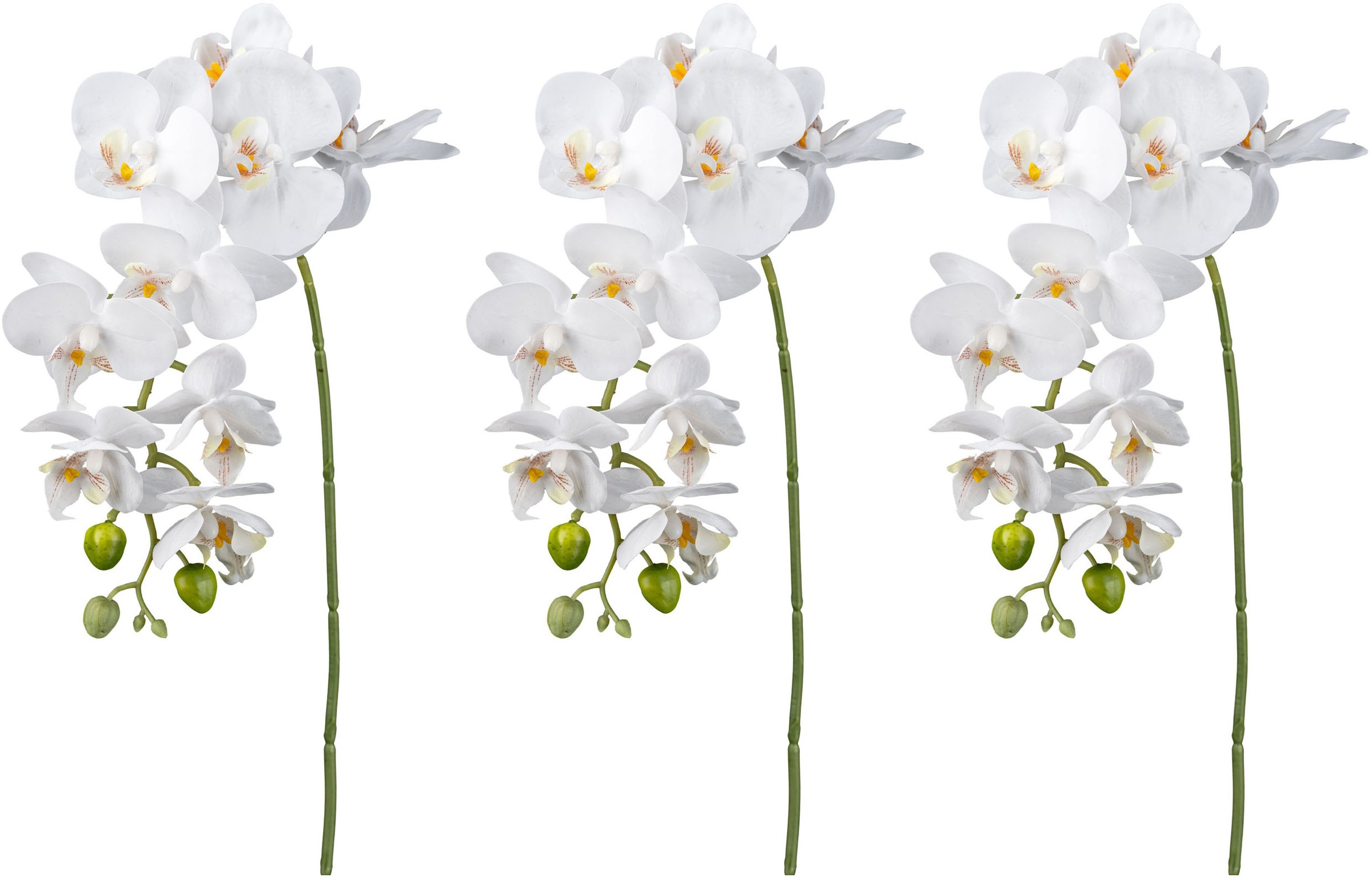 Creativ green Kunstorchidee "Orchidee Phalaenopsis", mit real-touch-Blüten günstig online kaufen