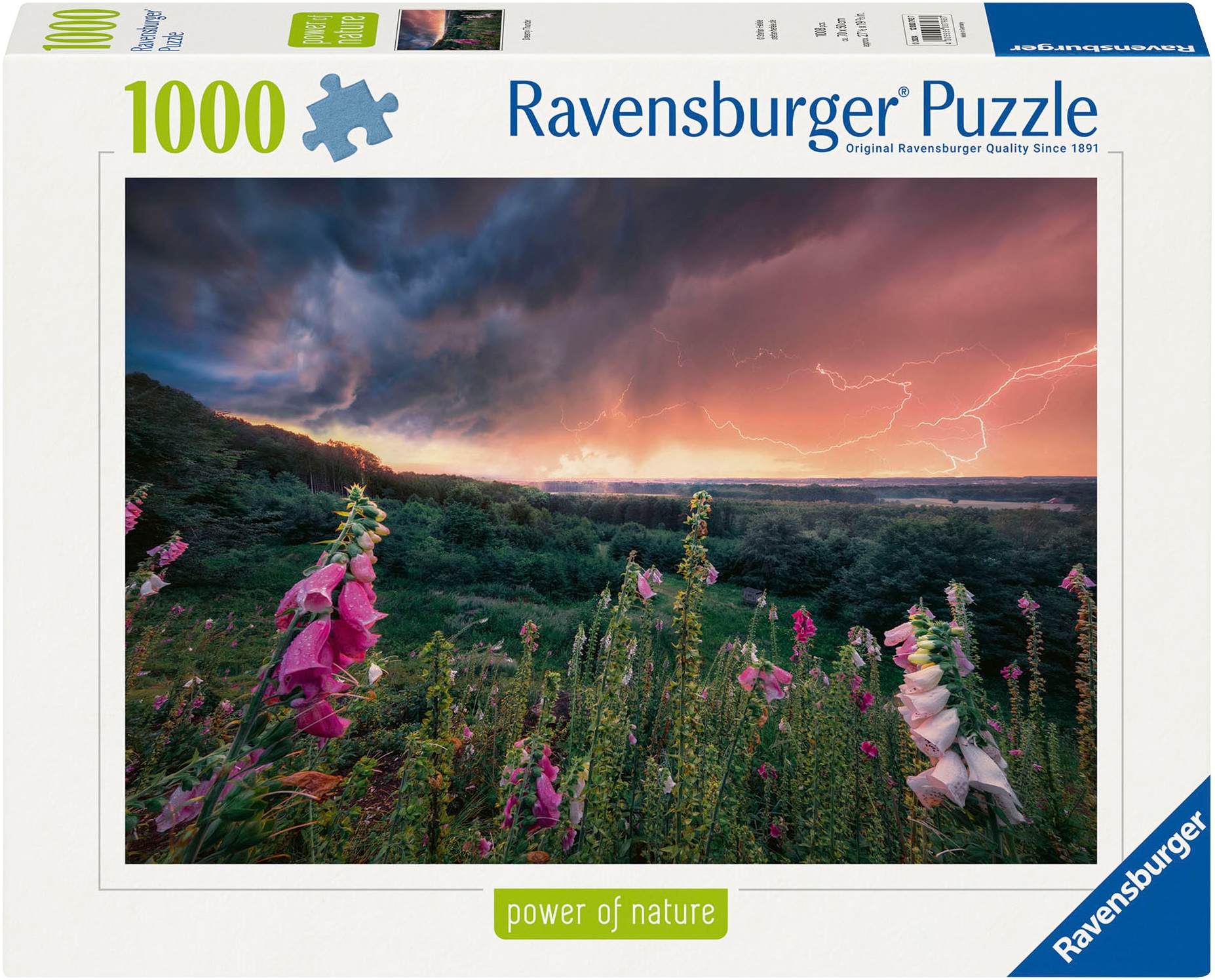 Puzzle »power of nature, Ein Sturm zieht auf«, Made in Germany; FSC® - schützt Wald -...