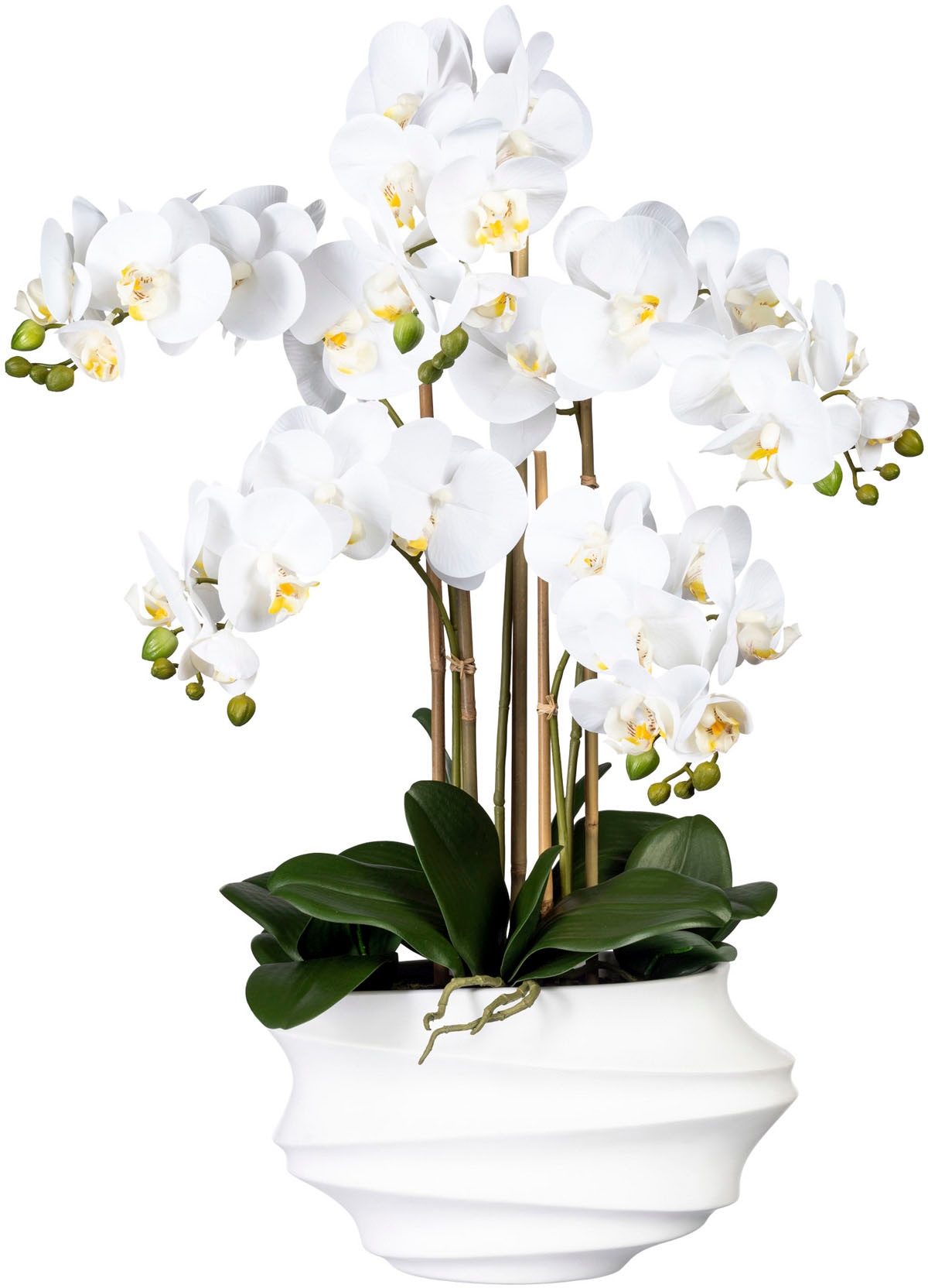 Creativ green Kunstorchidee »Phalaenopsis« in Design...