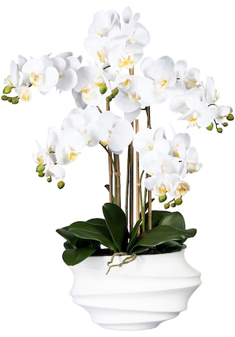 Creativ green Kunstorchidee »Phalaenopsis« in Design...