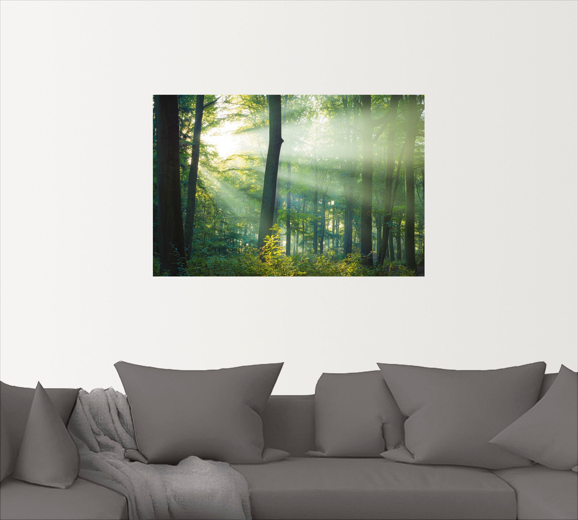 Artland Wandbild »Licht St.), Größen Wald«, BAUR bestellen oder Leinwandbild, Poster | Wandaufkleber Waldbilder, (1 im in Alubild, als versch