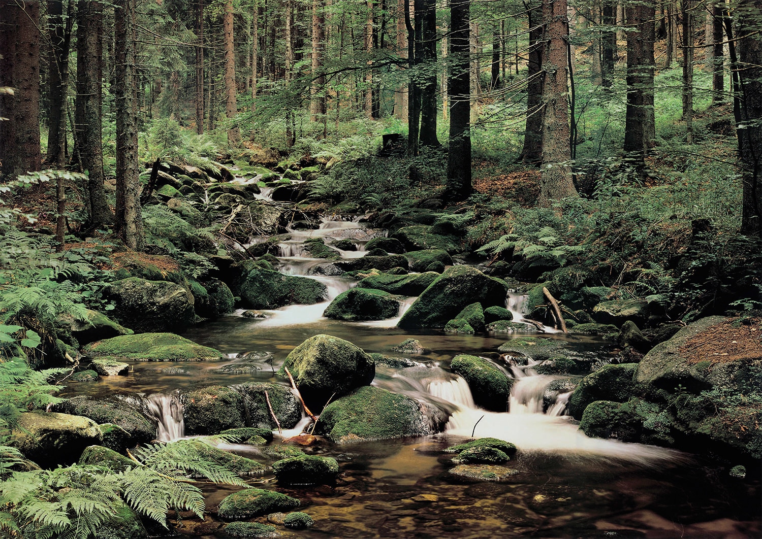 Papermoon Fototapete "Nature" glatt