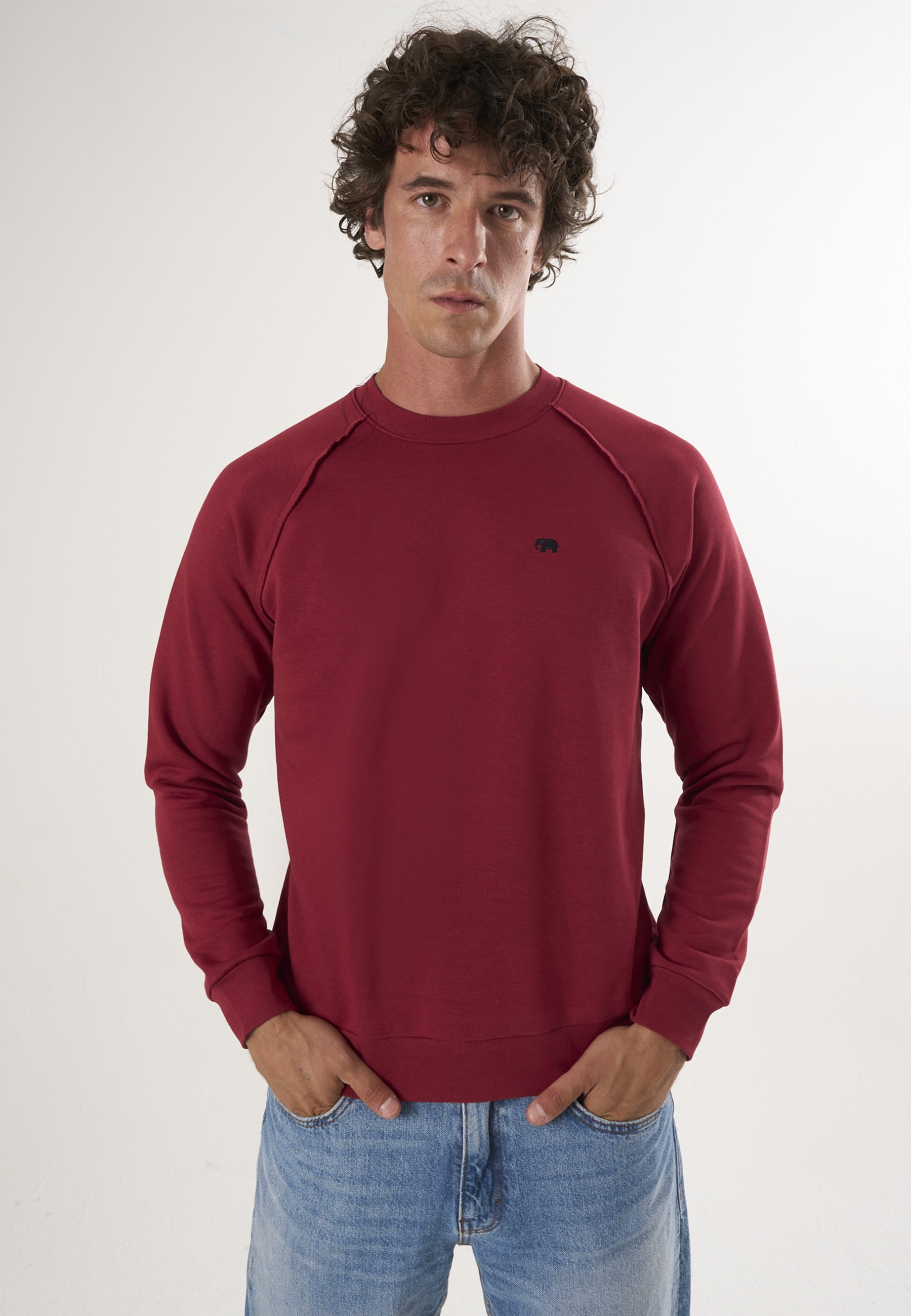 Felix Hardy Sweater "Basic Rundhals Sweatshirt" günstig online kaufen