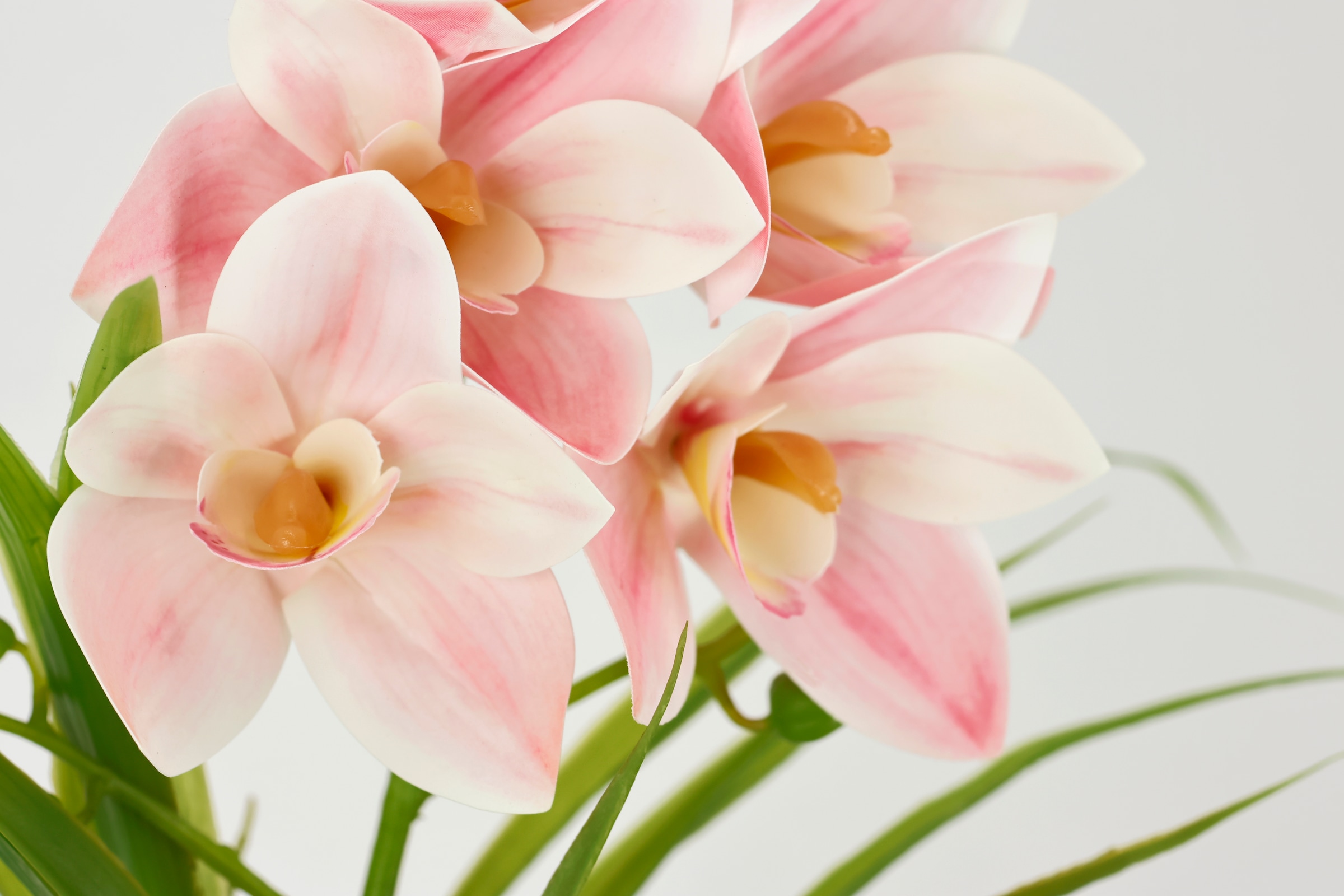 I.GE.A. Kunstorchidee »Orchidee Phalaenopsis im Topf«, Blume Kunstblume Seidenblumen Hochzeit Deko Blüte