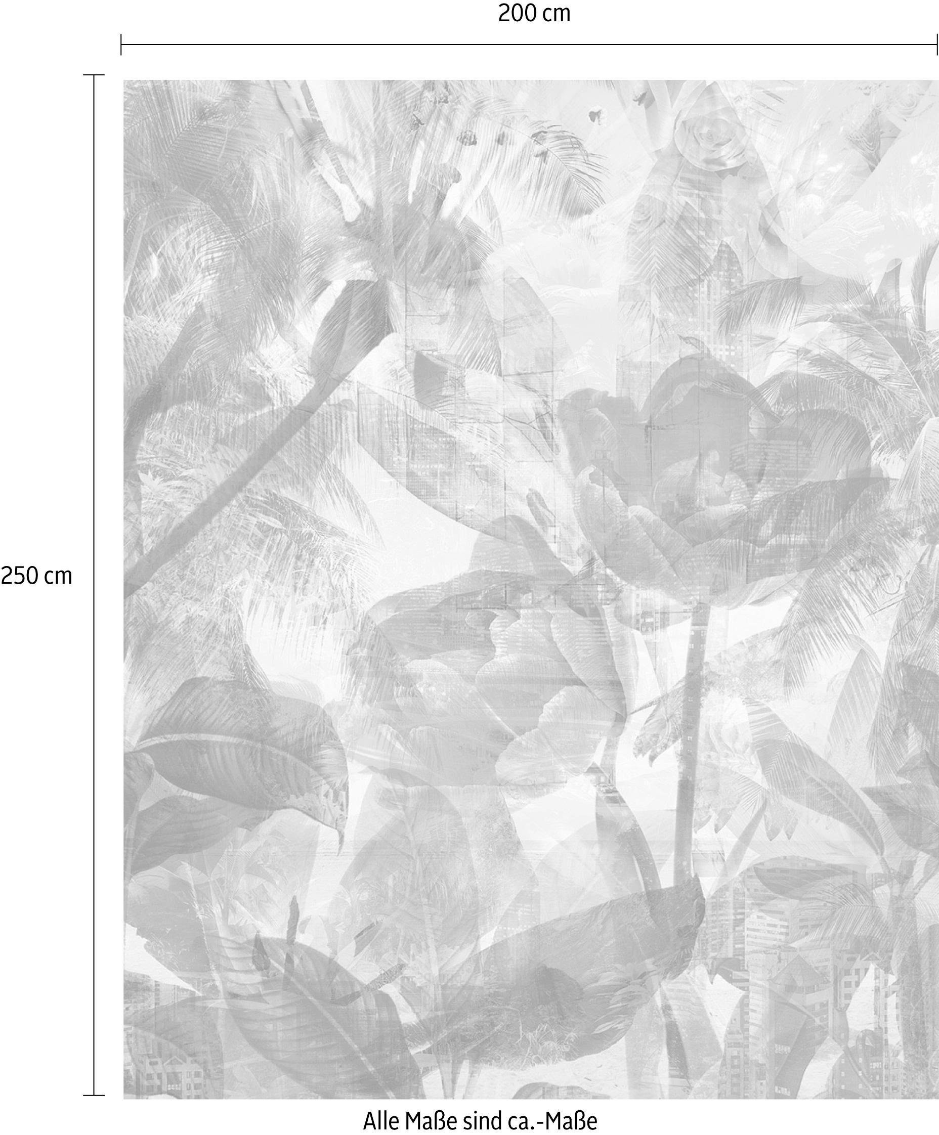 Komar Vliestapete »Digitaldruck Vlies -  Metropical - Größe 200 x 250 cm« bedruckt glatt Wohnzimmer, Schlafzimmer