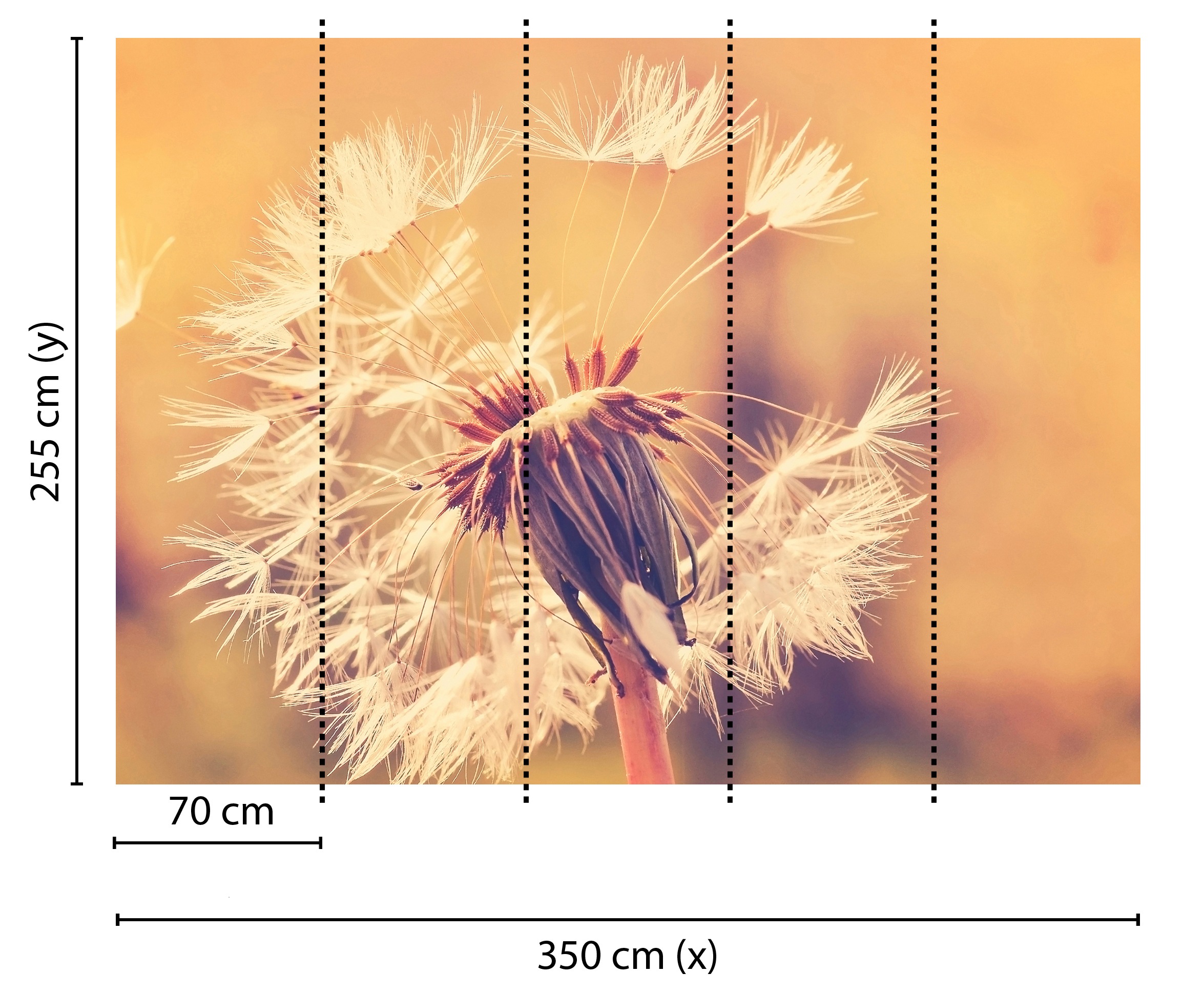 living walls Fototapete »Designwalls Dandelion 1« glatt Vlies, Wand, Schräge, Decke