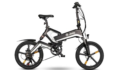 E-Bike »FFR 7050«, 7 Gang, Heckmotor 250 W, (mit Akku-Ladegerät)