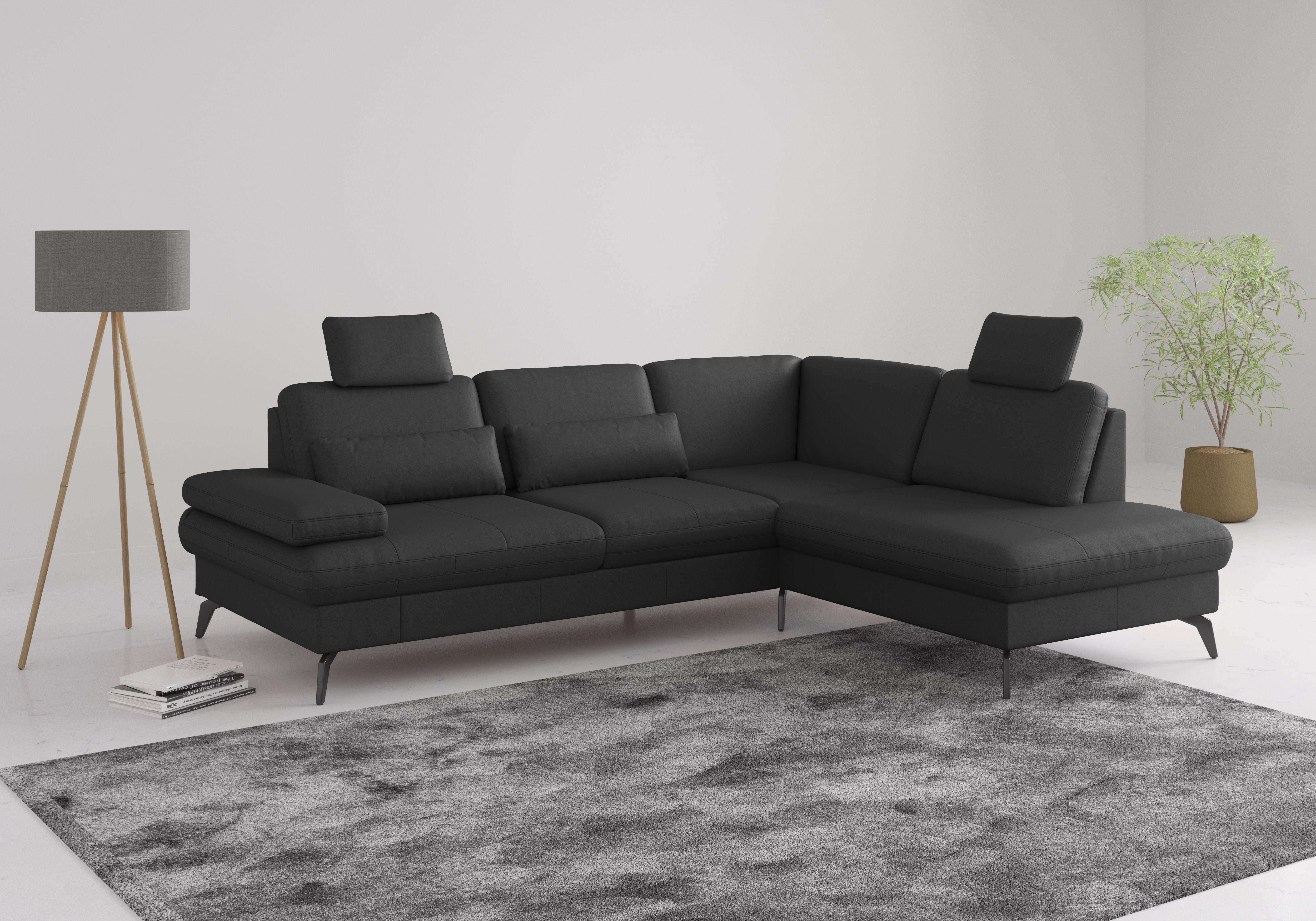 sit&more Ecksofa "Morris L-Form, inkl. Sitztiefenverstellung" wahlweise mit Armteilverstellung, Schlaffunktion & Bettkasten