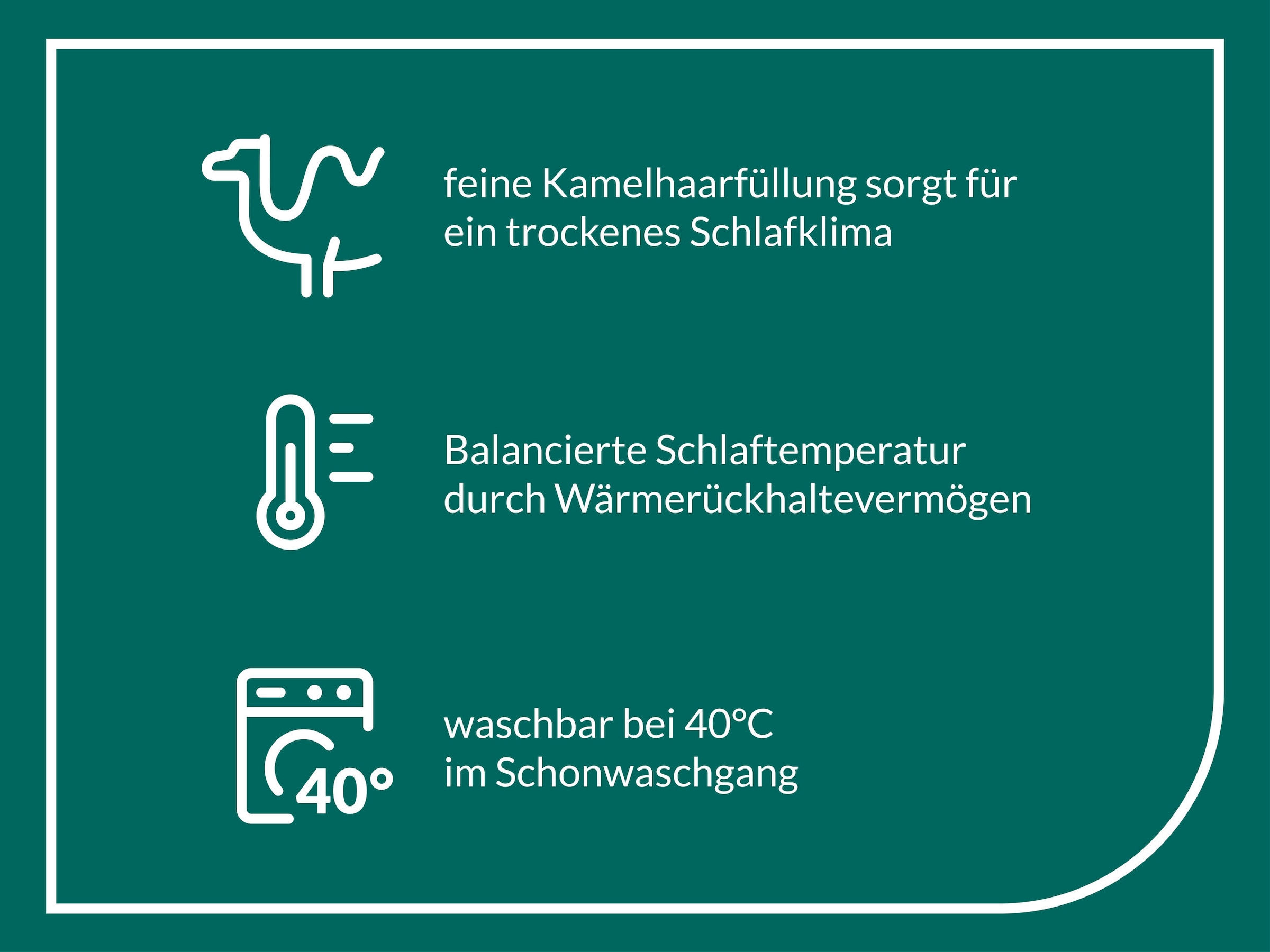 fan Naturhaarbettdecke »Gobi, Bettdecken für Sommer und Winter, Decke«, leicht, Füllung Kamelhaar, Bezug Baumwolle, (1 St.), Bettdecke 135x200 cm, 155x220 cm und weiteren Größen, Made in Germany