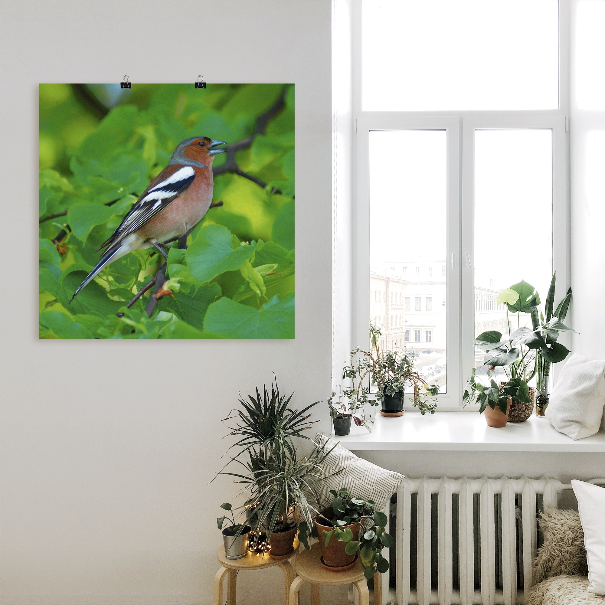 Artland Wandbild »Buchfink Lied«, Vögel, (1 St.), als Leinwandbild, Poster in verschied. Größen