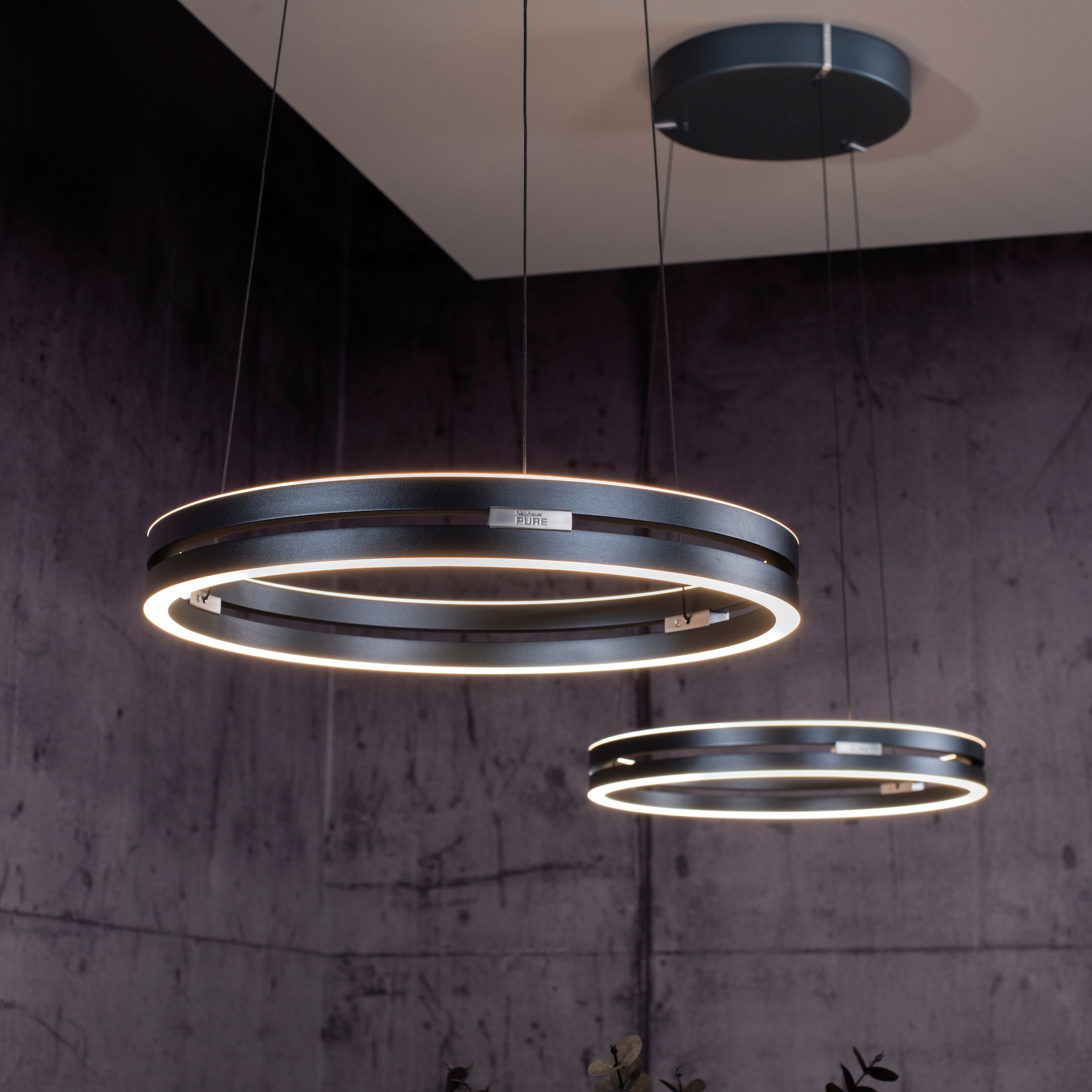 Neuhaus PURE LED Pendelleuchte »PURE E-Loop« LED-Board 1 Stk. warmweiß - kaltweiß e-LIFT® Funktion, CCT, dimmbar über Fernbedienung