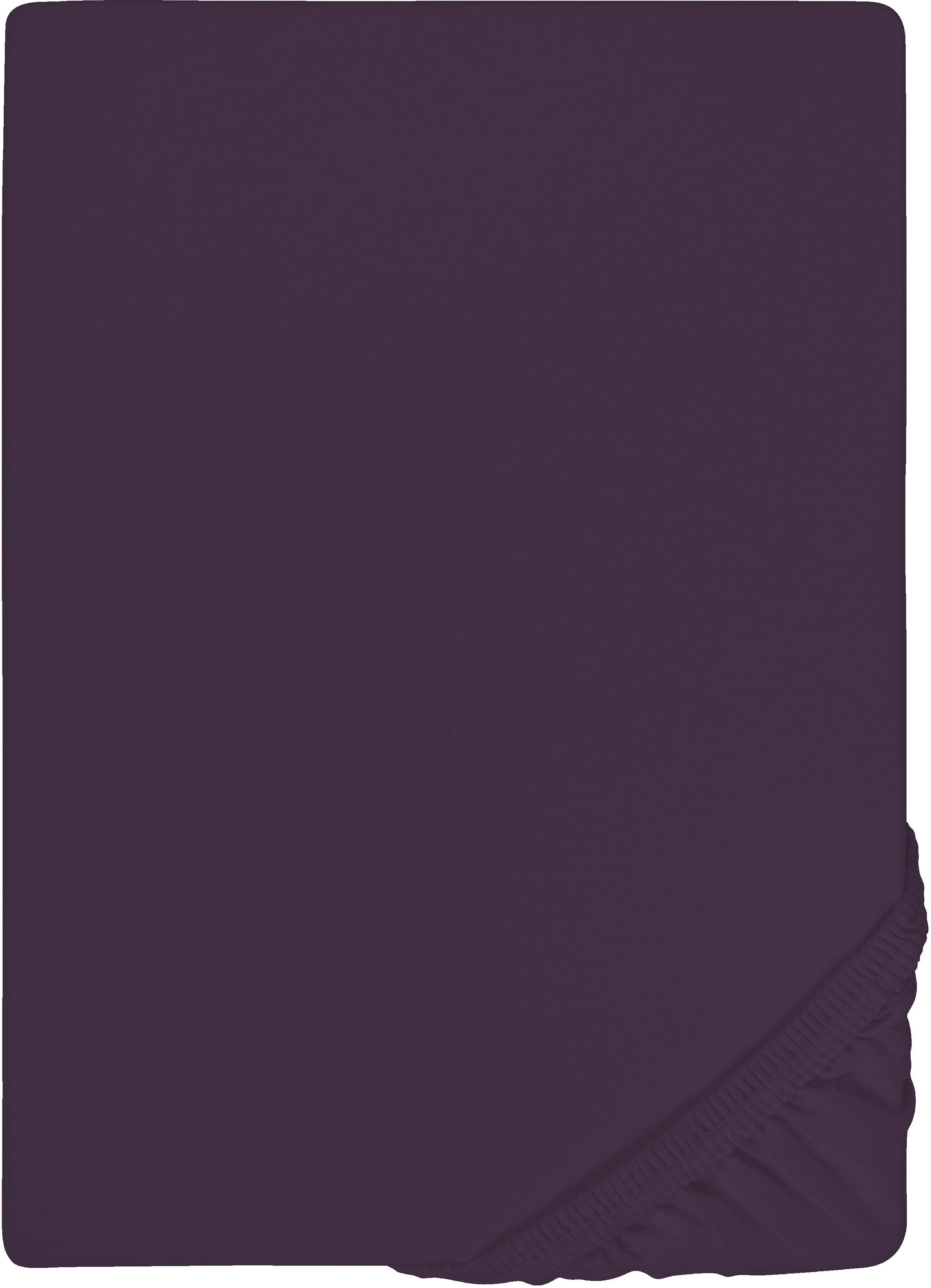 Biberna Spannbettlaken "0077866 Deluxe Jersey-Elastic Spannbetttuch 97% Baumwolle" Jersey mit Elasthan, Rundumgummi, bügelfrei, ab Größe 90 x 190 cm i