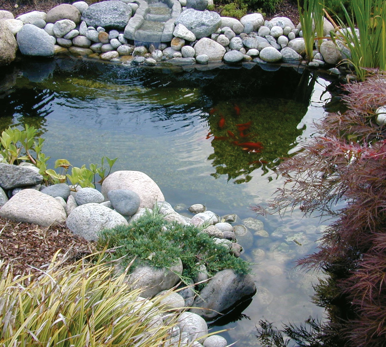 Ubbink Fertigteich »Calmus SIII«, mit Biotoprand