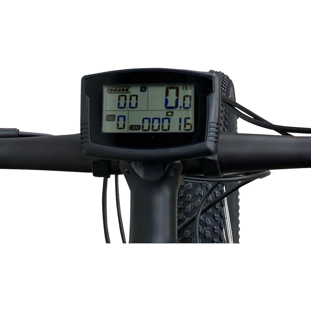 LLobe E-Bike »Mountain MTLogan 27,5"«, 10 Gang, Heckmotor 250 W