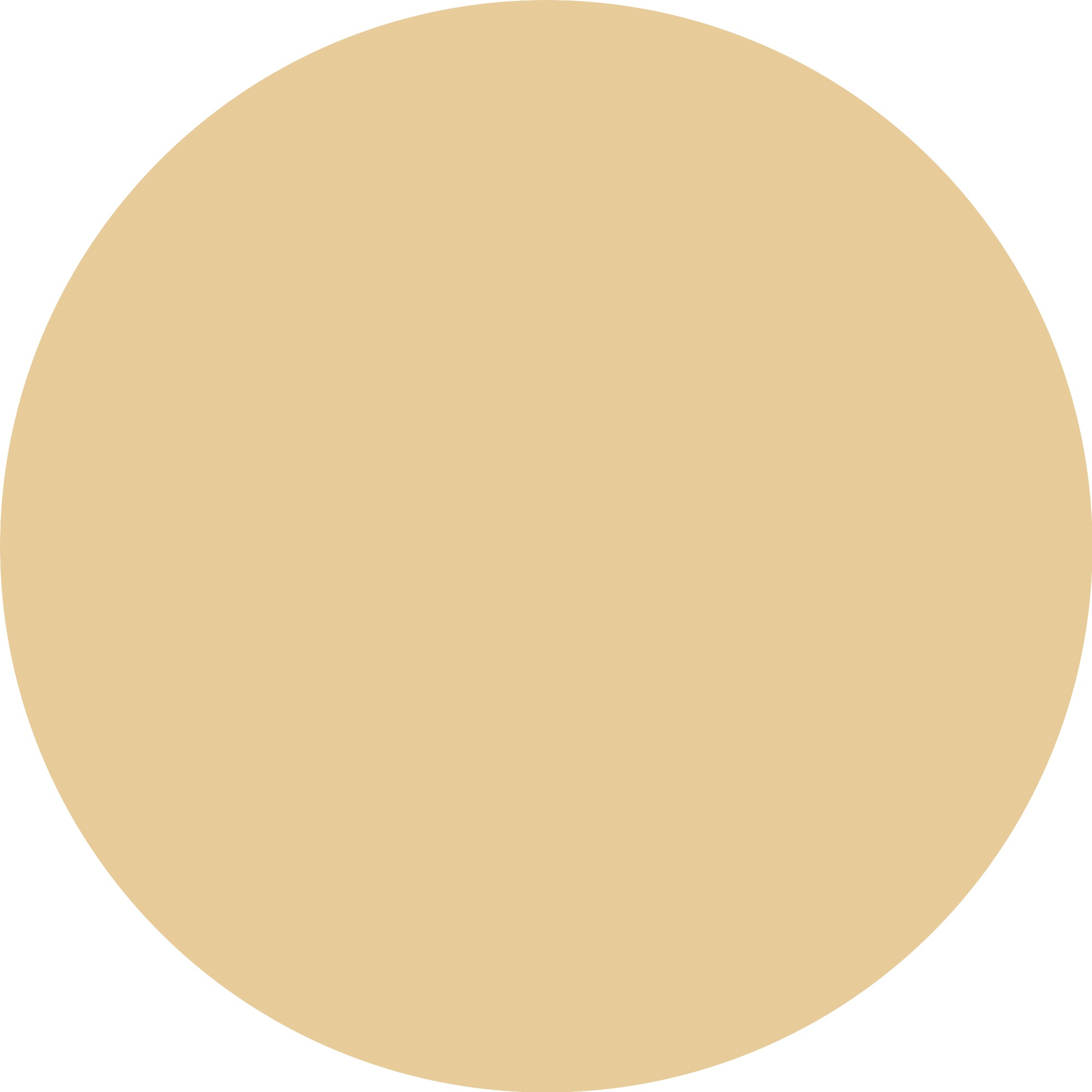 Catrice Make-up »CC Skin Perfector«