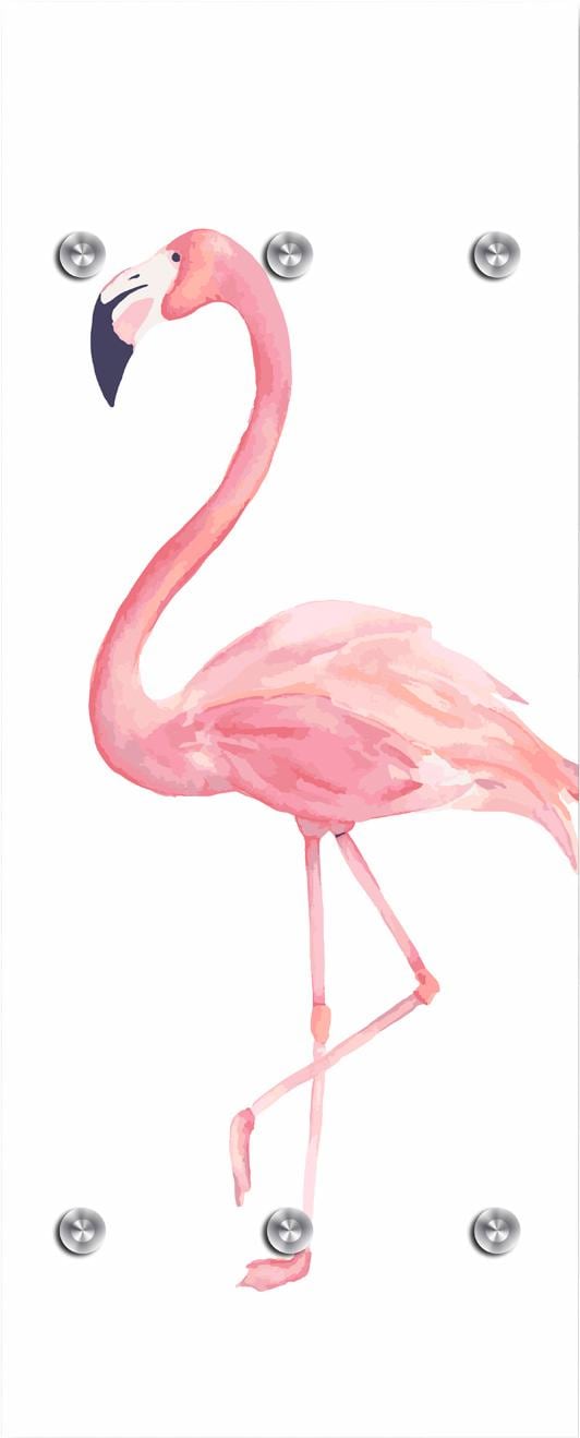 queence Garderobenleiste »Flamingo«, mit 6 Haken, 50 x 120 cm