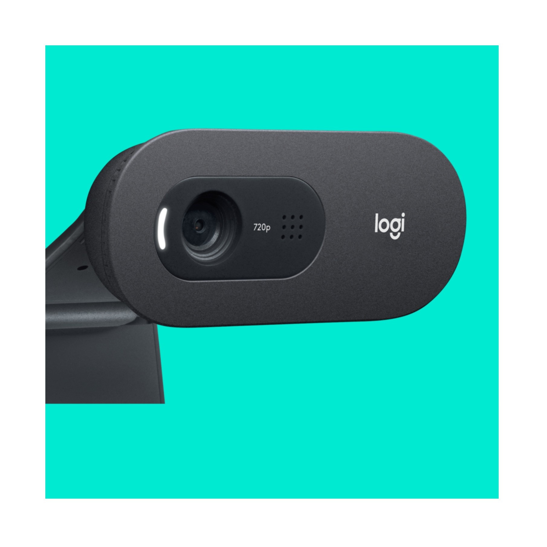 Logitech Webcam »C505 HD«
