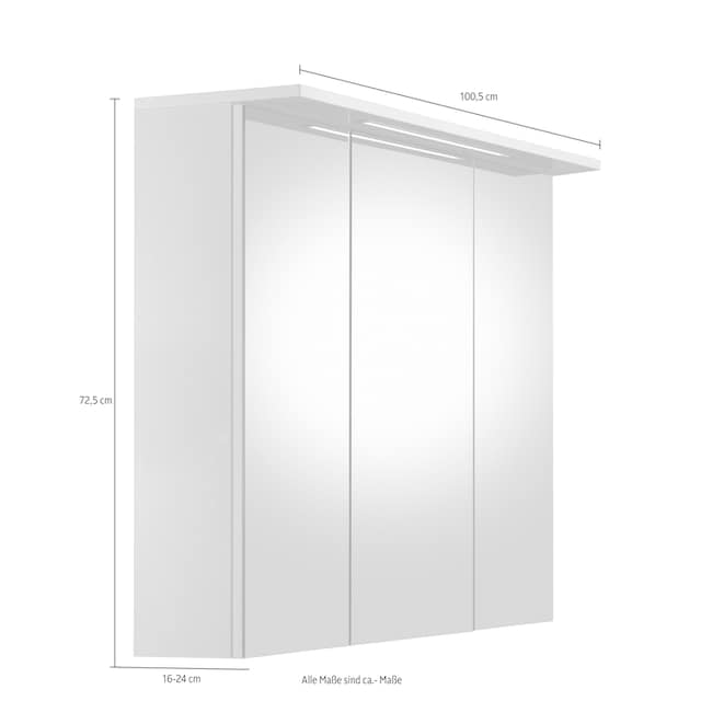 Schildmeyer Spiegelschrank »Profil 16«, Breite 100 cm, 3-türig,  LED-Beleuchtung, Schalter-/Steckdosenbox kaufen | BAUR