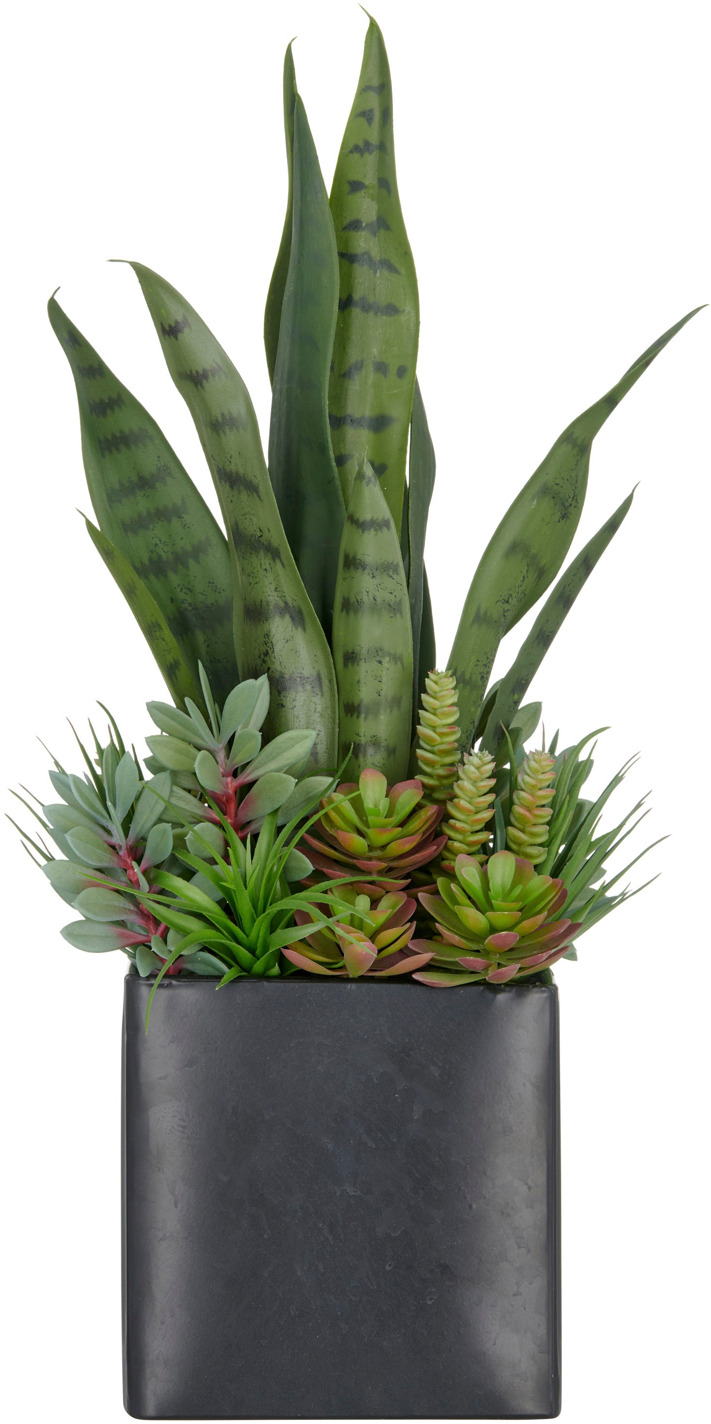 Creativ green Kunstpflanze "Arrangement aus Sukkulenten", mit verschiedenen günstig online kaufen