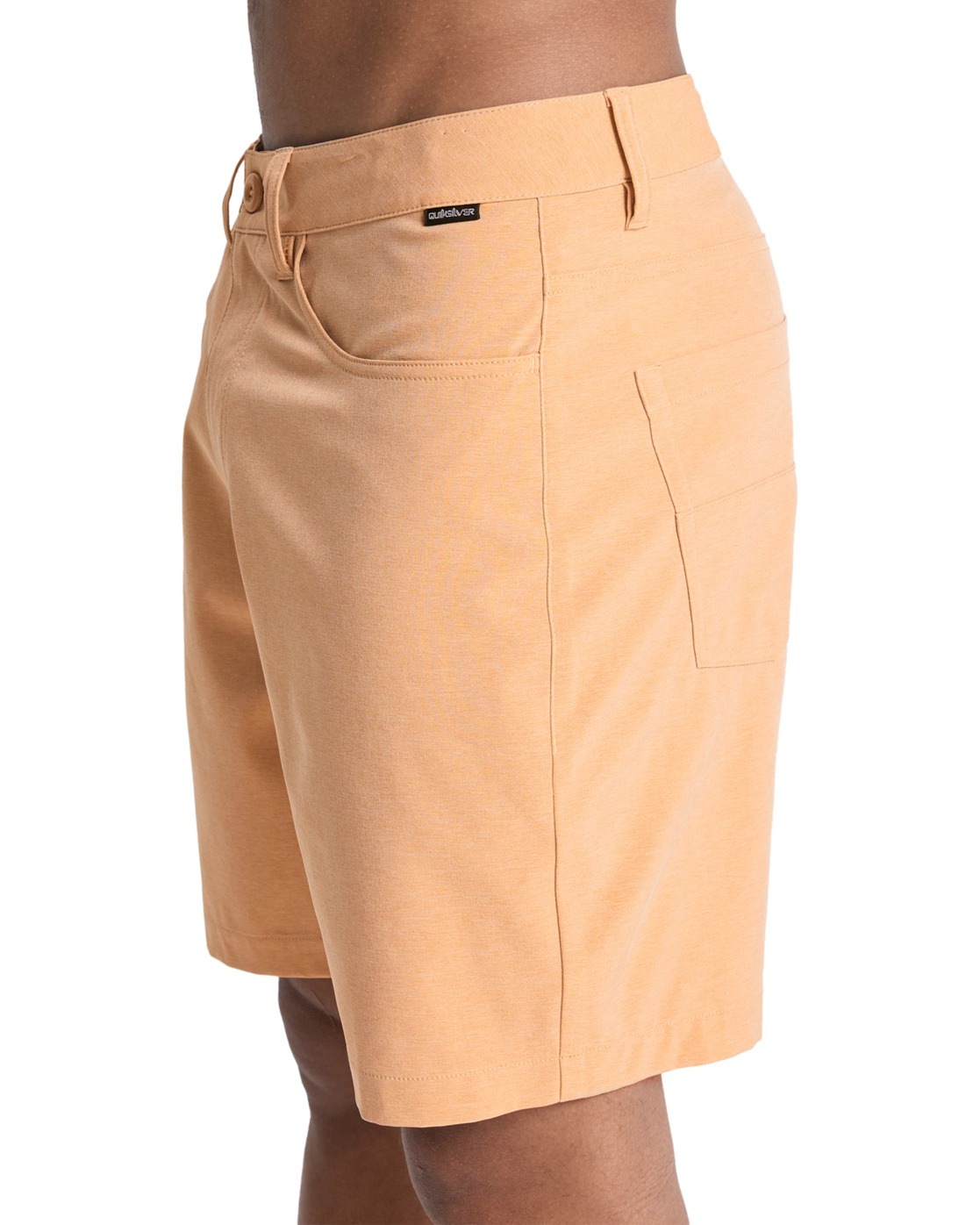 Quiksilver Short Nelson Amphibian 18´´ Khaki Heather 36 Homme 3