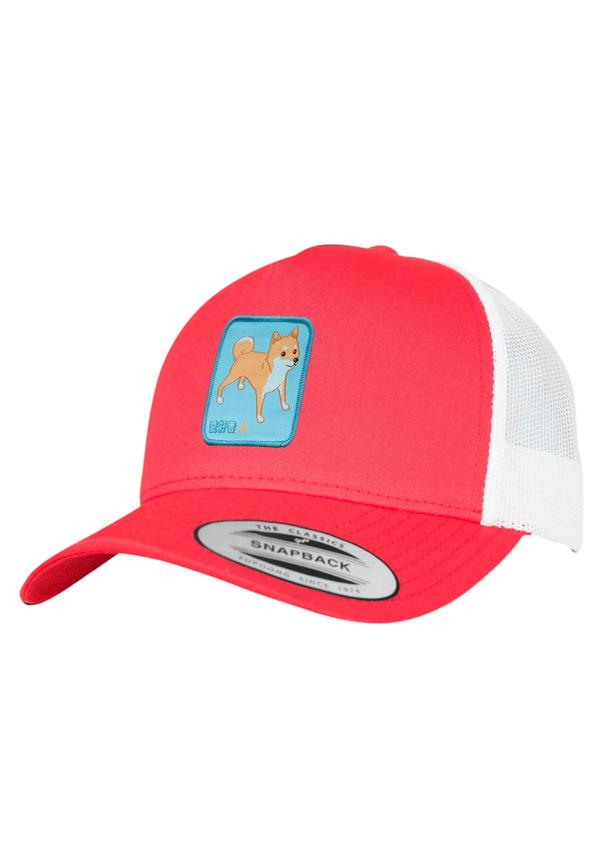 F4NT4STIC Schirmmütze »Shiba Inu« Premium Qualität