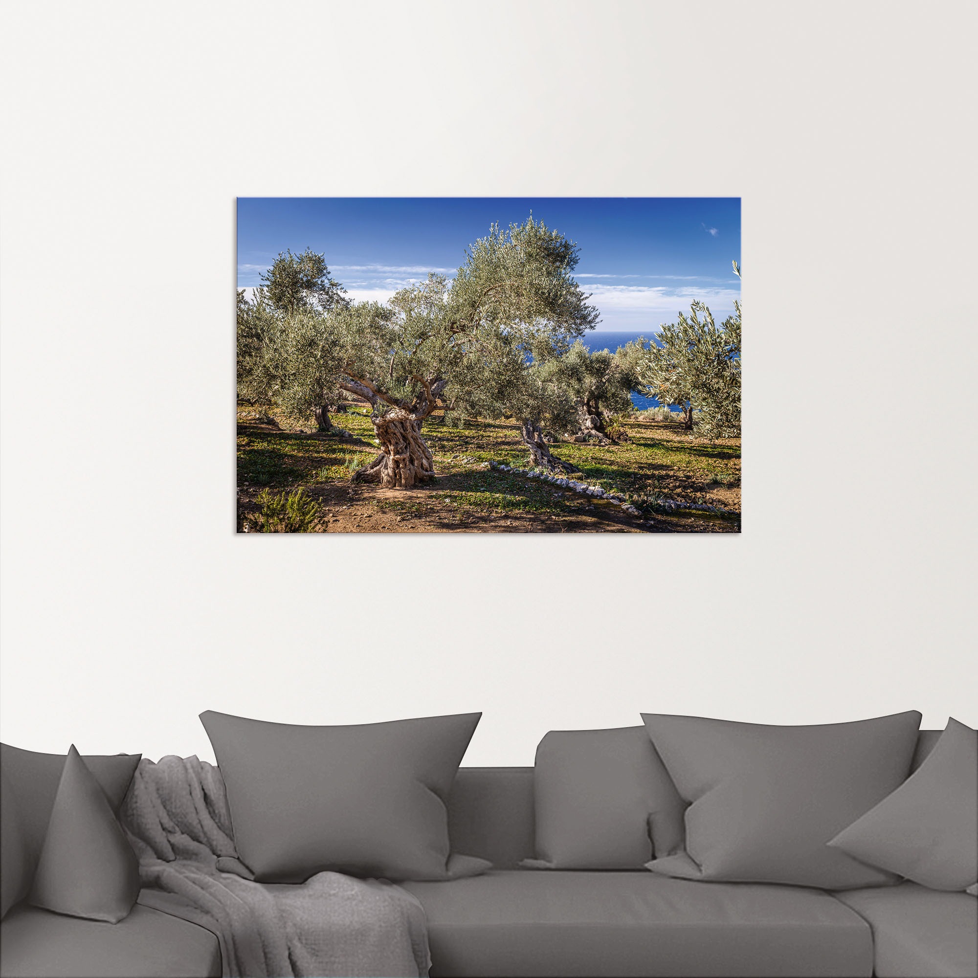 Artland Wandbild »Olivenhain in der Serra de Tramuntana«, Küstenbilder, (1 St.), als Alubild, Outdoorbild, Leinwandbild, Poster in verschied. Größen