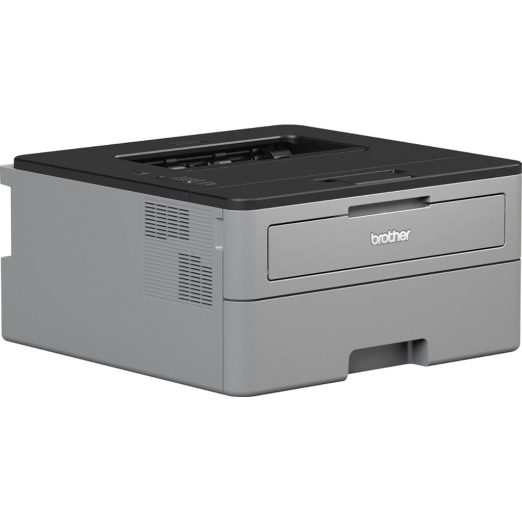 Brother Laserdrucker »HL-L2310D«